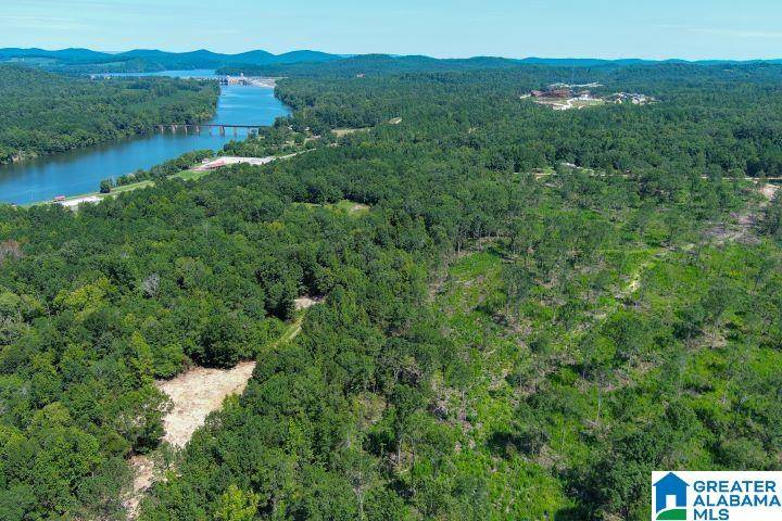 Ohatchee, AL 36271,209 HARTS FERRY ROAD #4