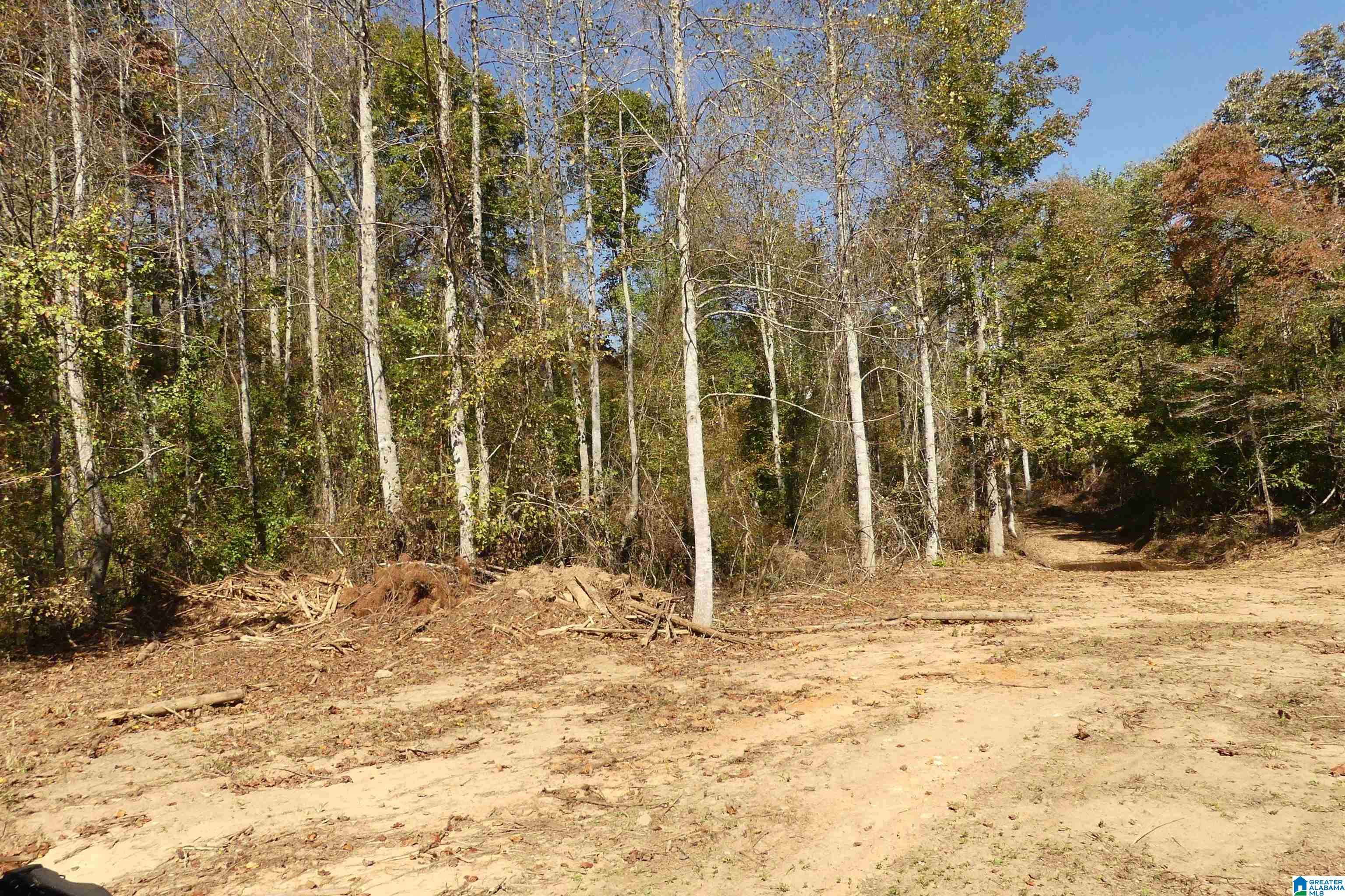 Newell, AL 36280,250 ACRES COUNTY ROAD 540 #00