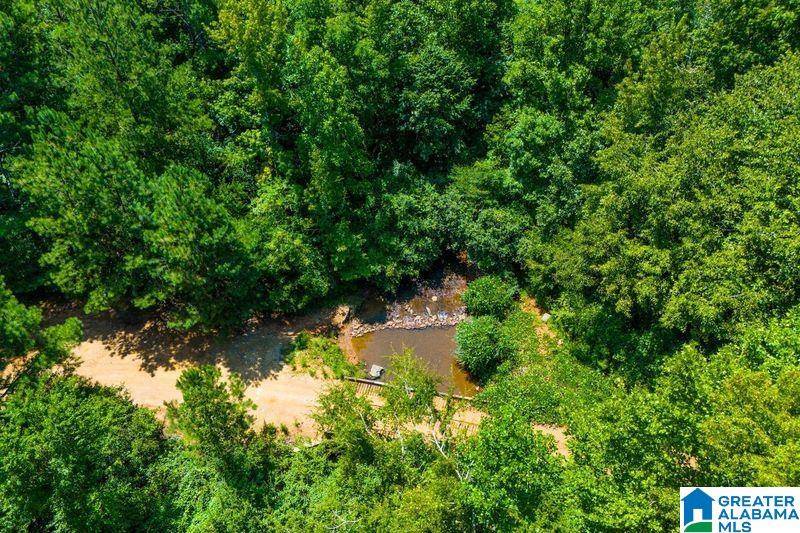 Newell, AL 36280,250 ACRES COUNTY ROAD 540 #00