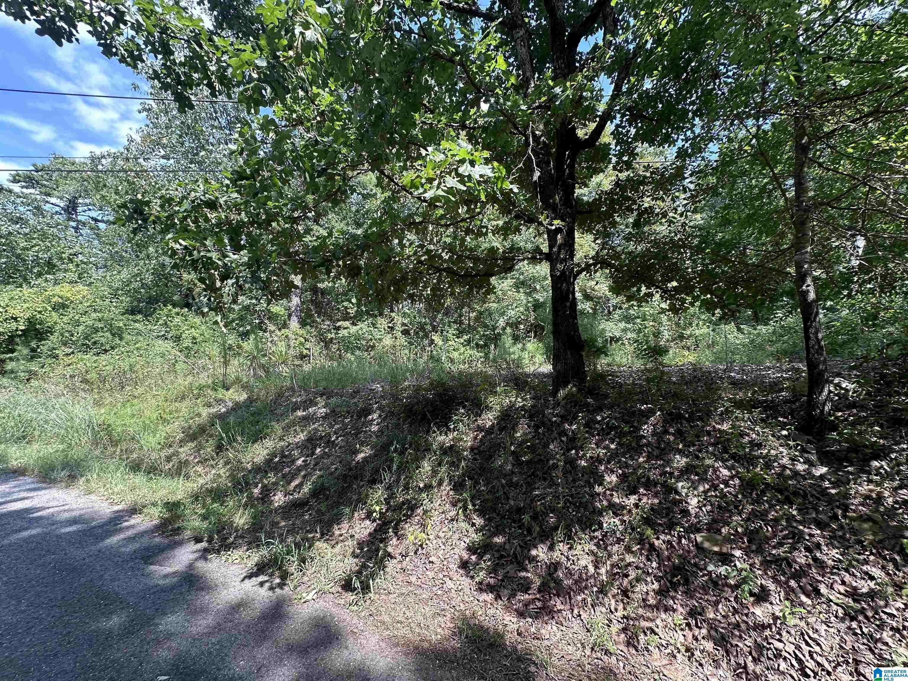 Bessemer, AL 35023,4976 MOUNTAIN ROAD #22