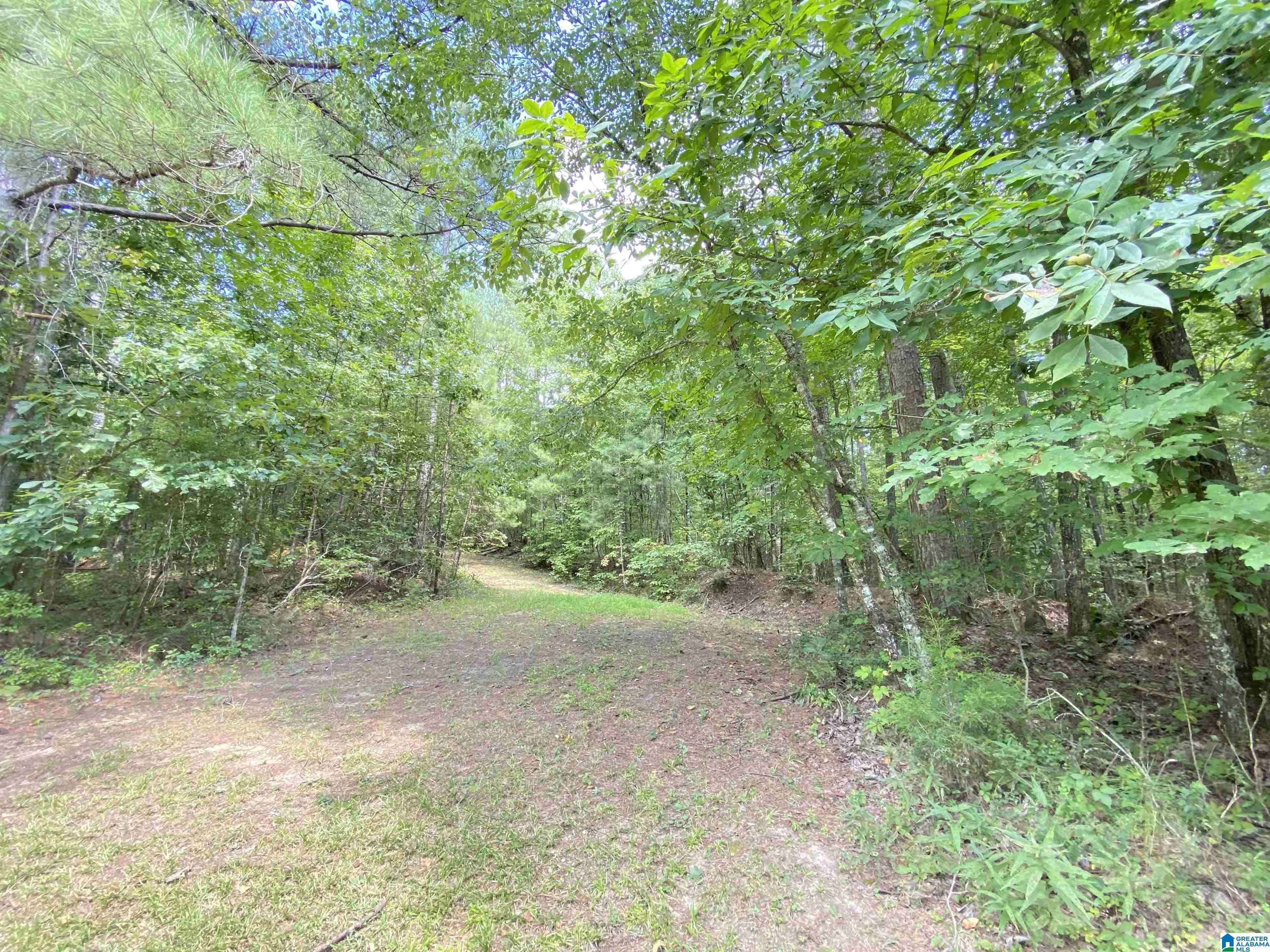 Odenville, AL 35120,969 BLUE RIDGE WAY #45