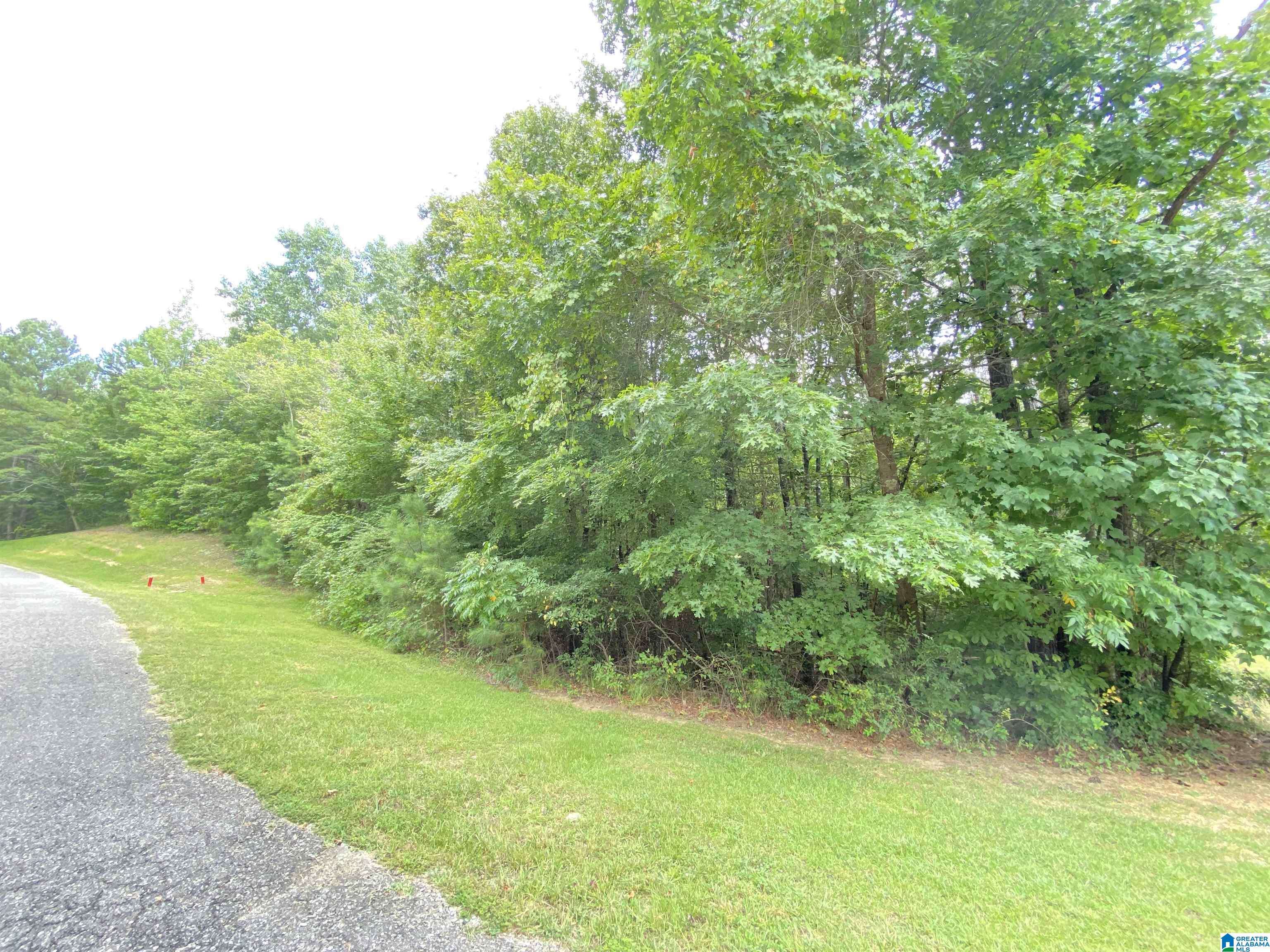 Odenville, AL 35120,969 BLUE RIDGE WAY #45