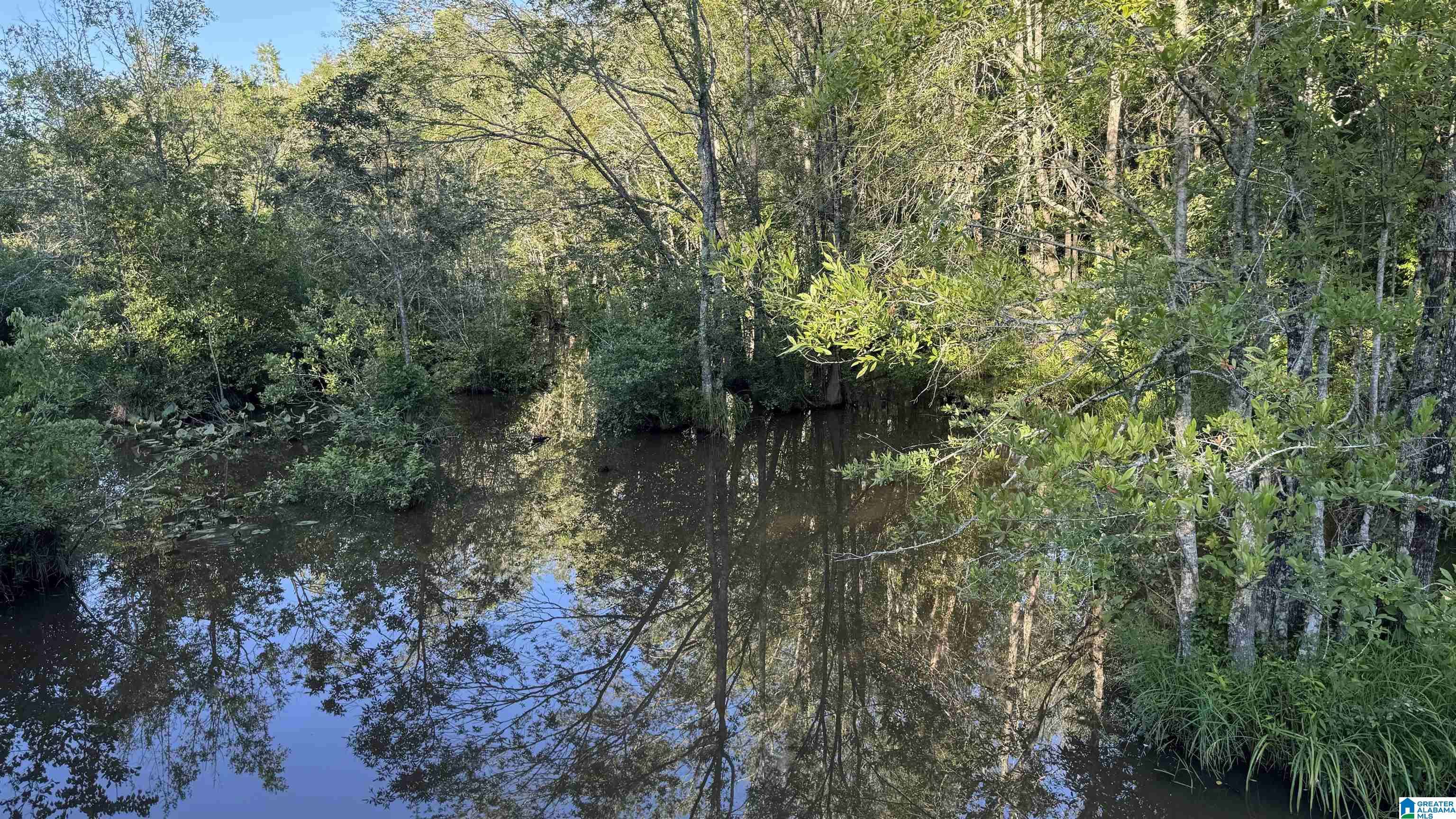 Tuskegee, AL 36083,0 COUNTY ROAD 81 #1