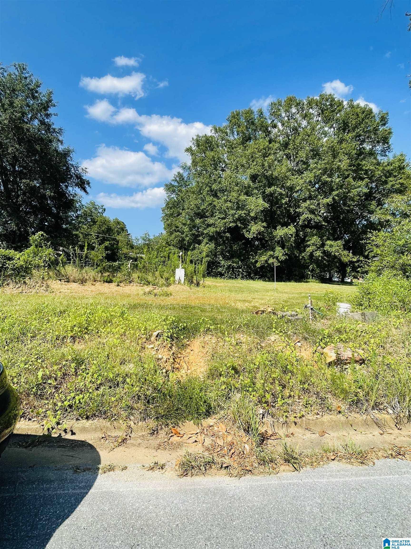 Sylacauga, AL 35150,0 MAGNOLIA DRIVE #16