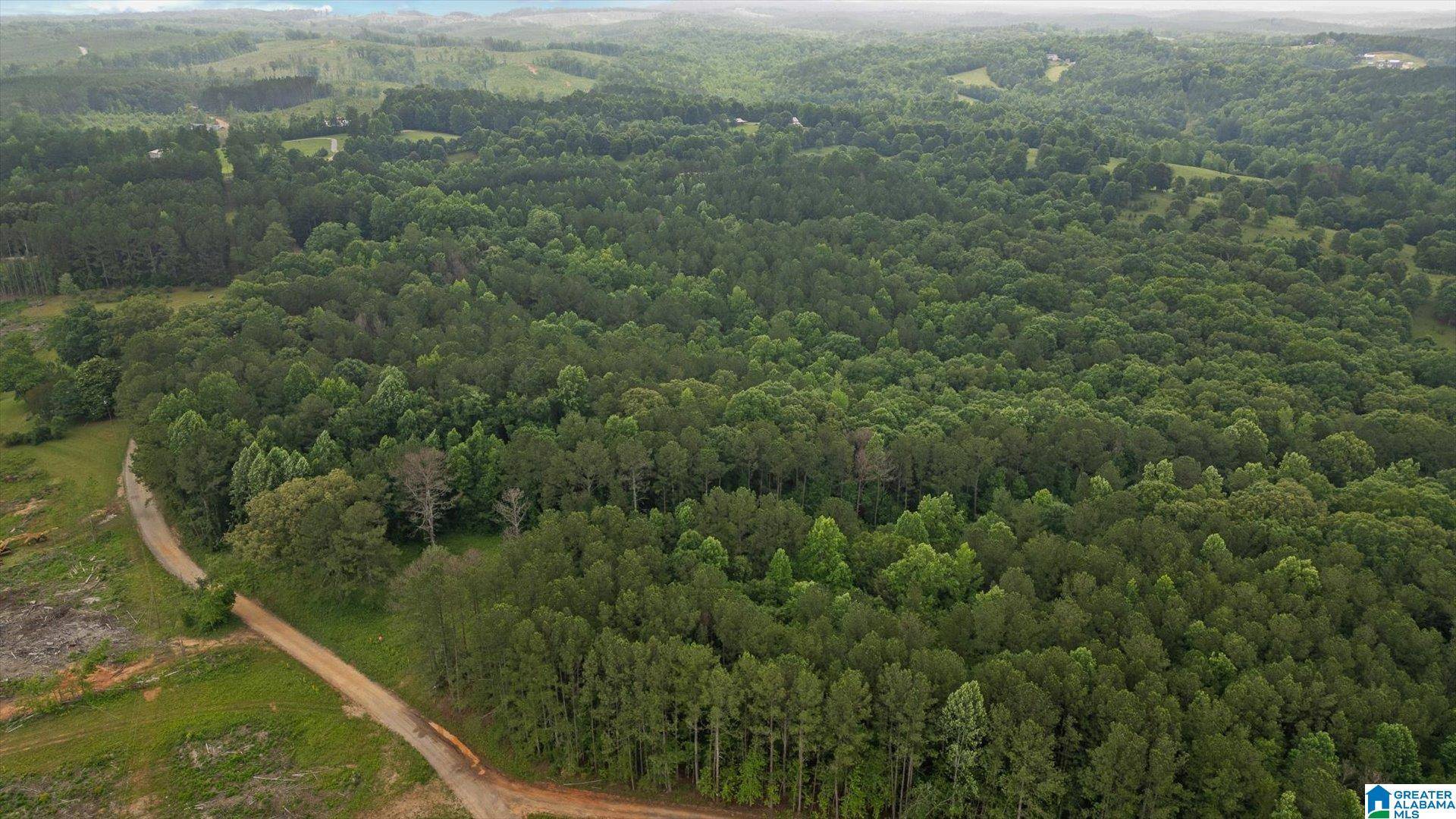 Heflin, AL 36264,1279 COUNTY ROAD 459 #0
