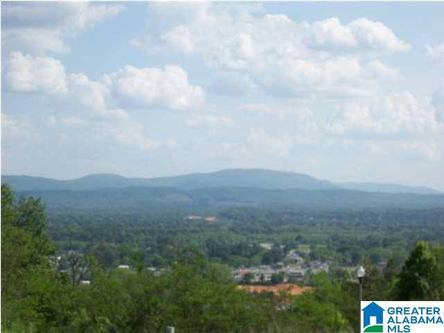 Anniston, AL 36207,0 EAGLE PASS WAY #2