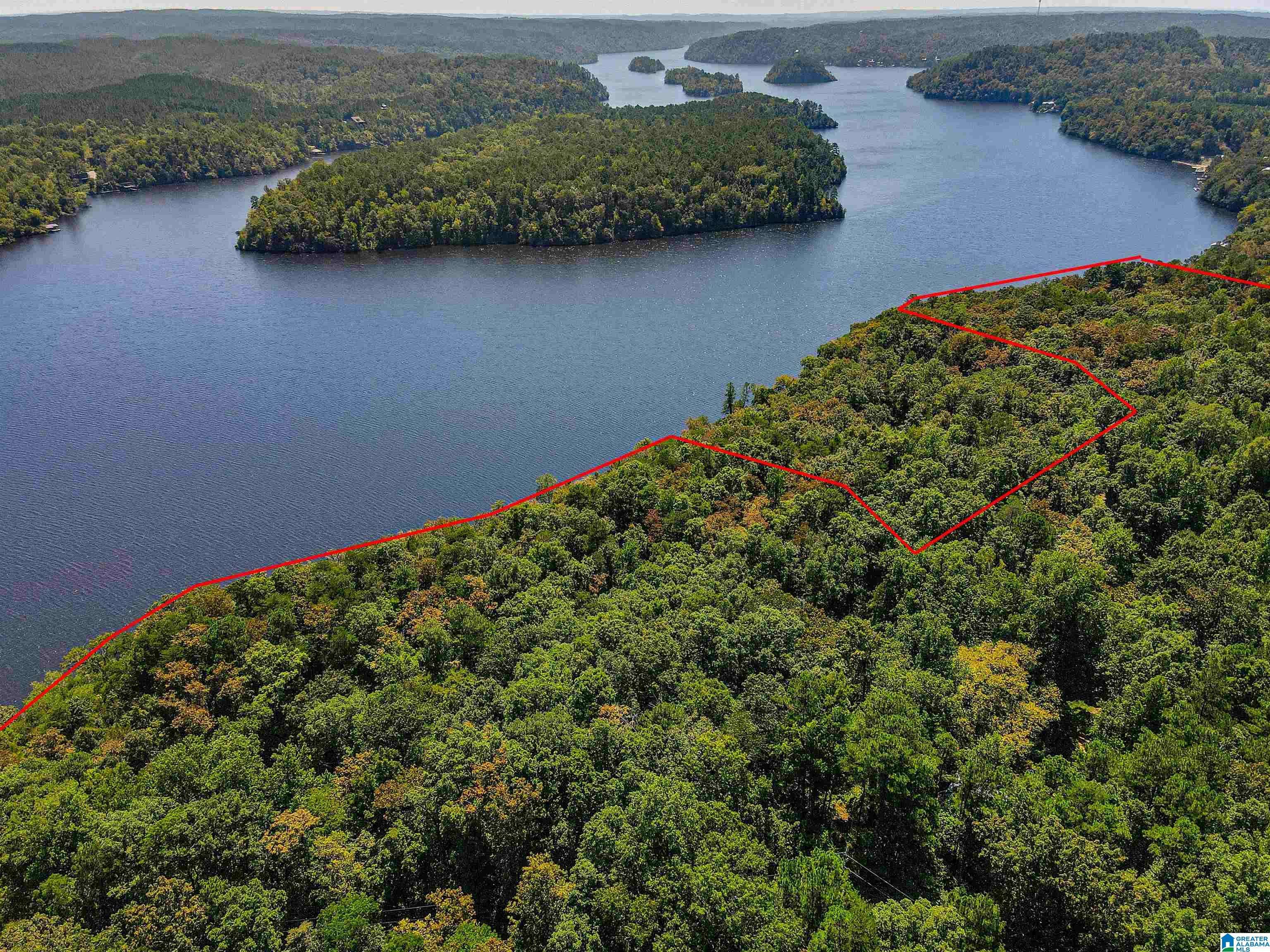 Clanton, AL 35046,2011 COUNTY ROAD 256 #82 Acres