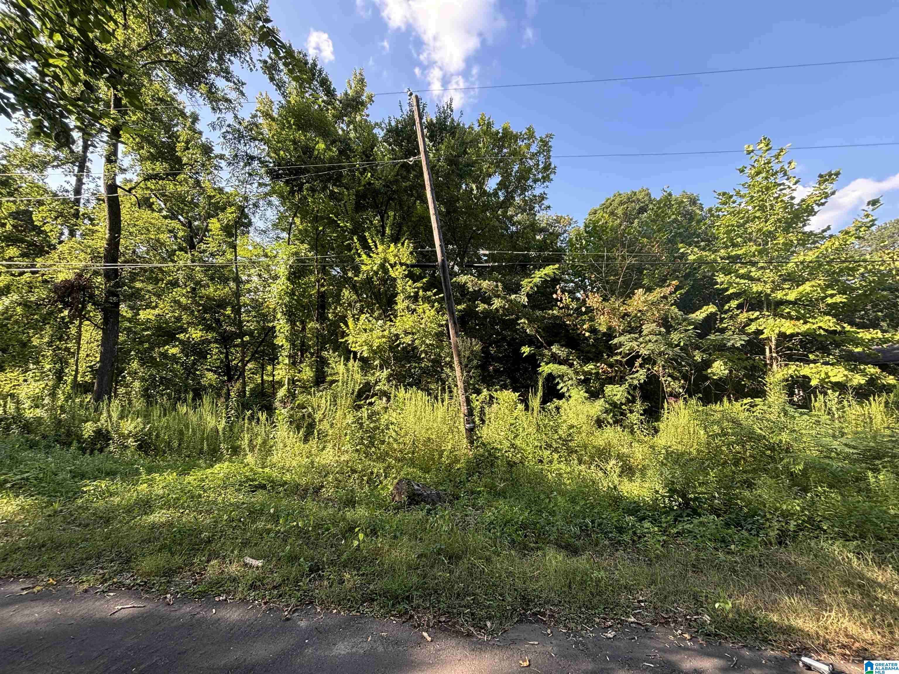 Irondale, AL 35235,926 NAVARRO LANE #926