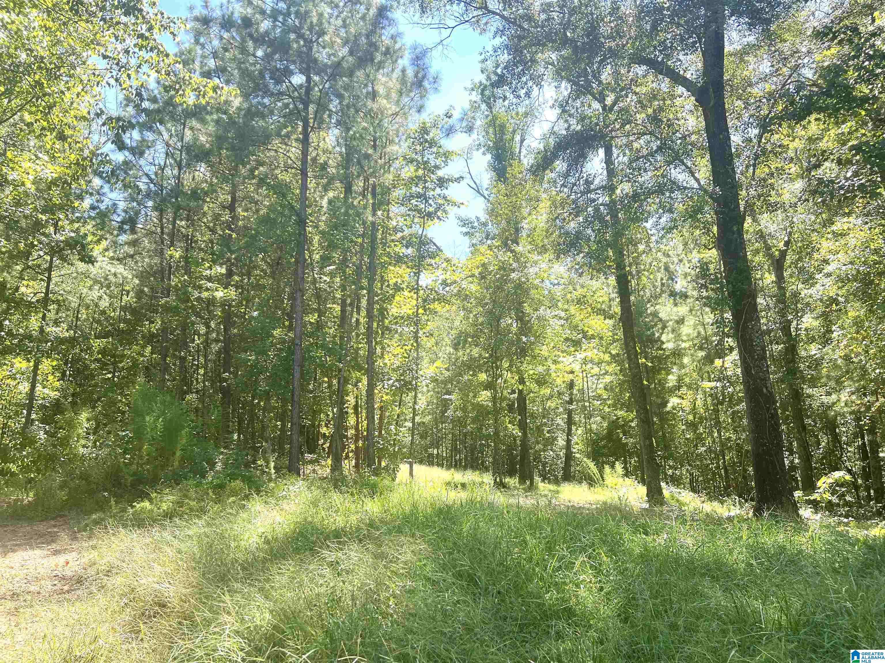 Bessemer, AL 35022,Lot 3 B CABIN ROAD #3B