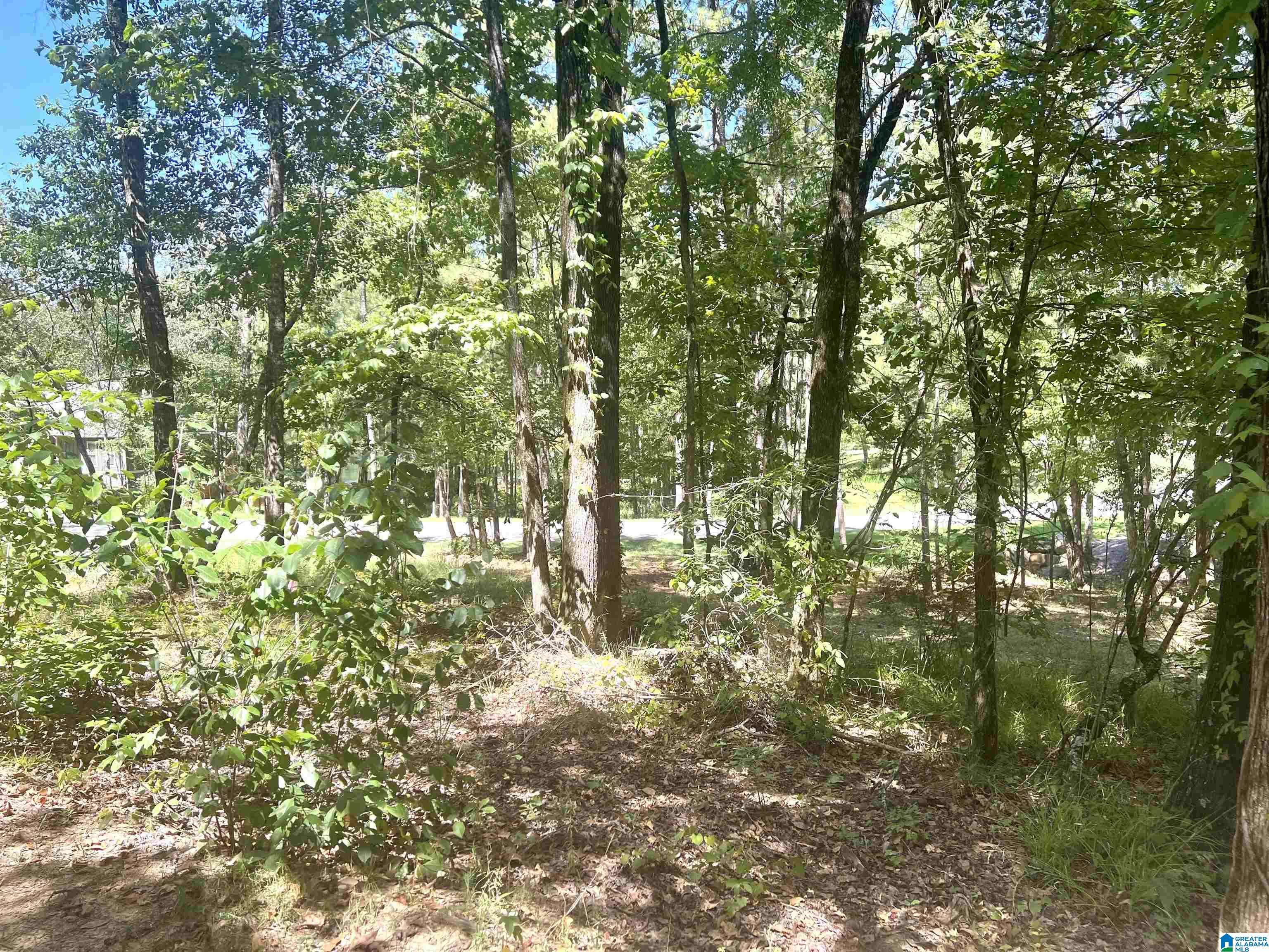 Bessemer, AL 35022,Lot 3 B CABIN ROAD #3B