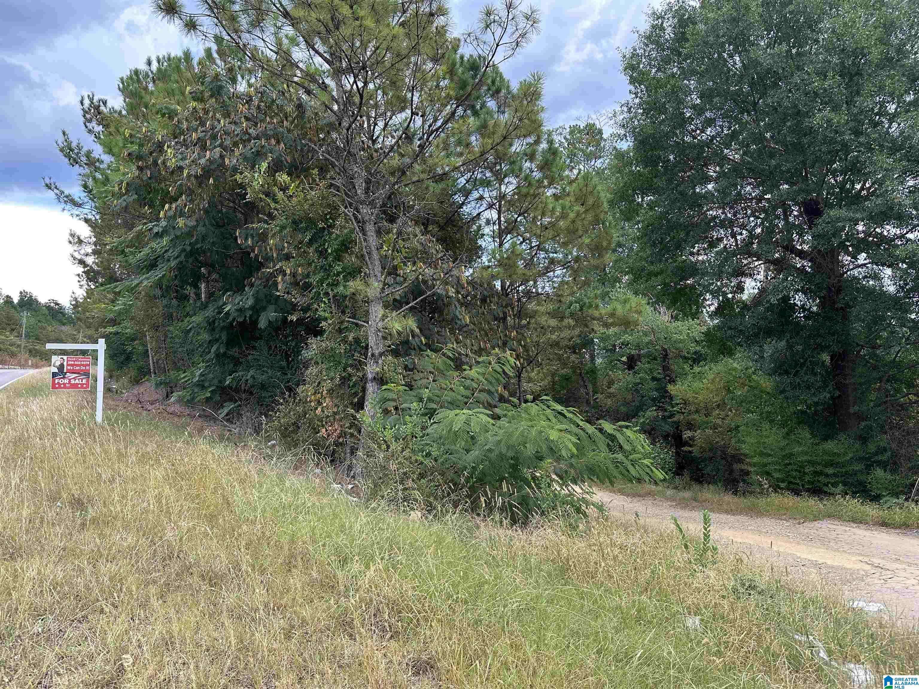 Fultondale, AL 35217,650 BLACK CREEK ROAD #0
