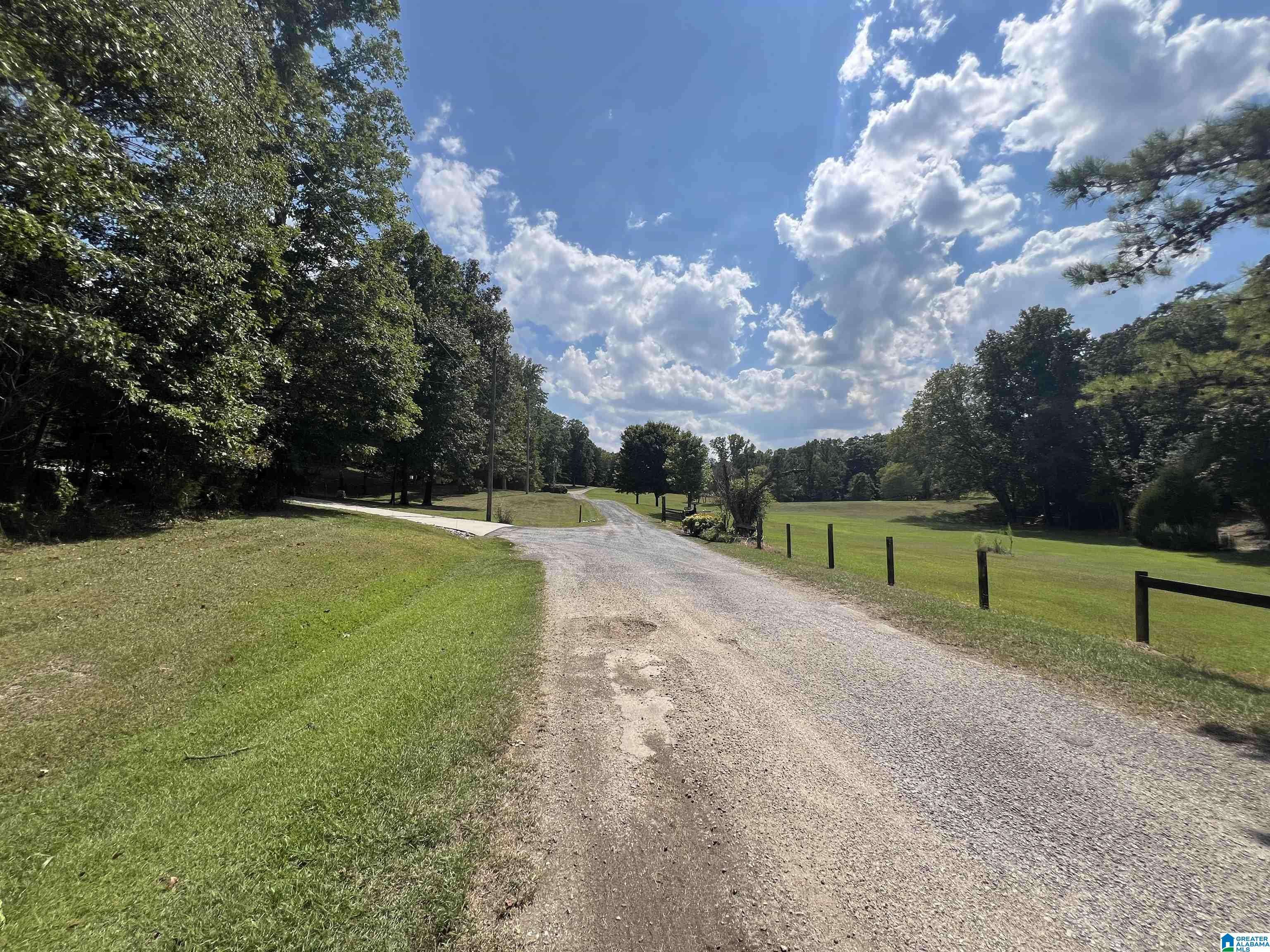 Remlap, AL 35133,0 TAYLOR ROAD #10.2