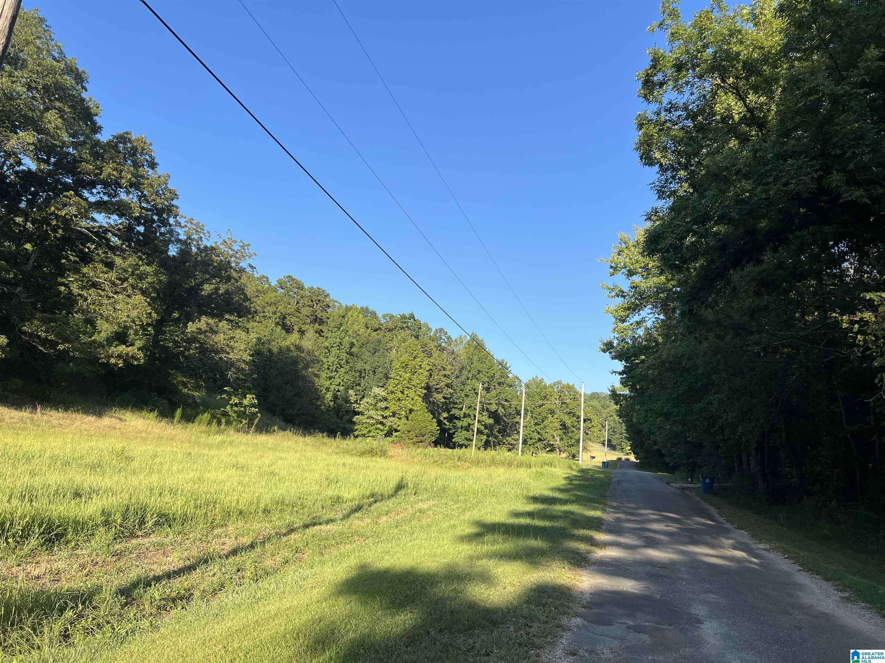 Remlap, AL 35133,0 TAYLOR ROAD #10.2
