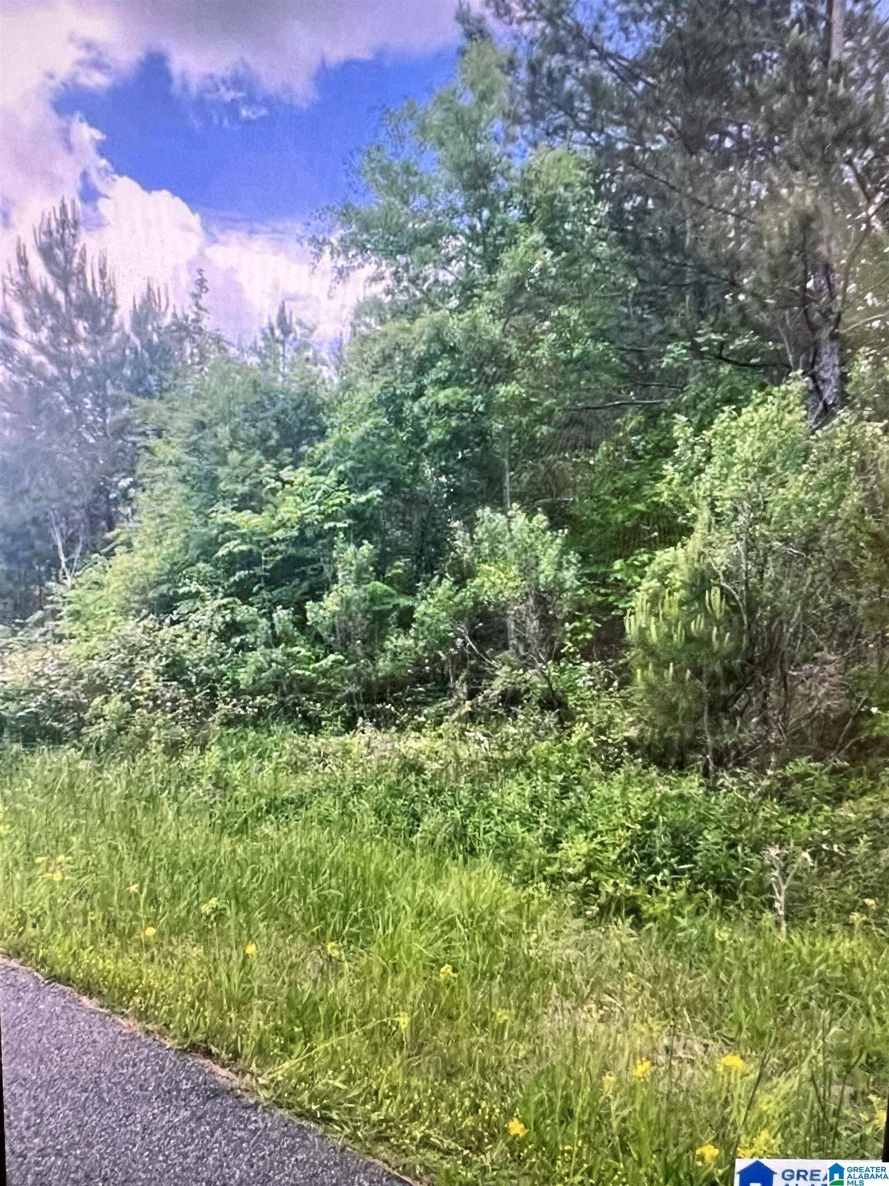 Alabaster, AL 35007,165 SHETLAND TRAIL #204
