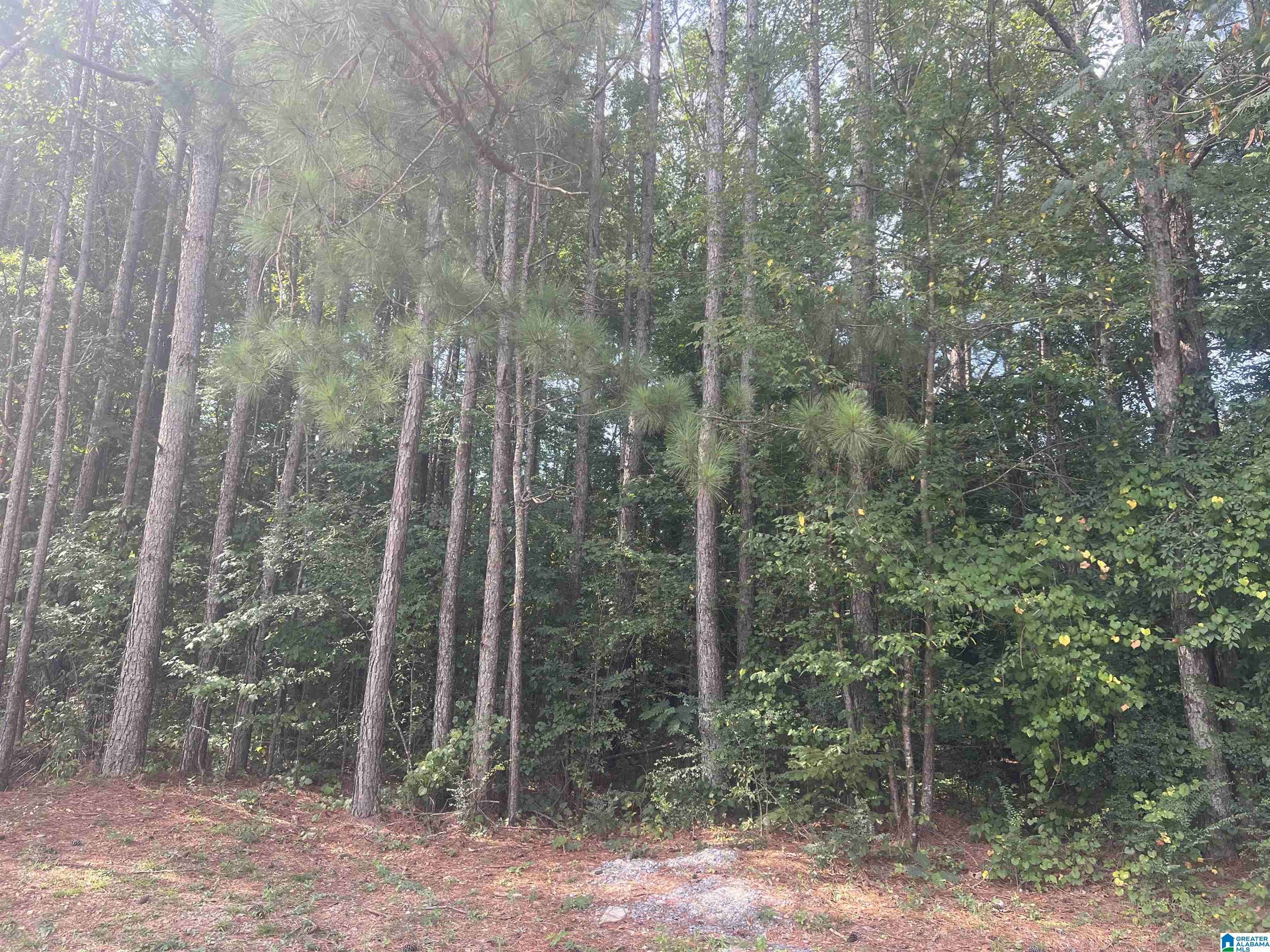 Sylacauga, AL 35150,OAKVIEW CIRCLE #11