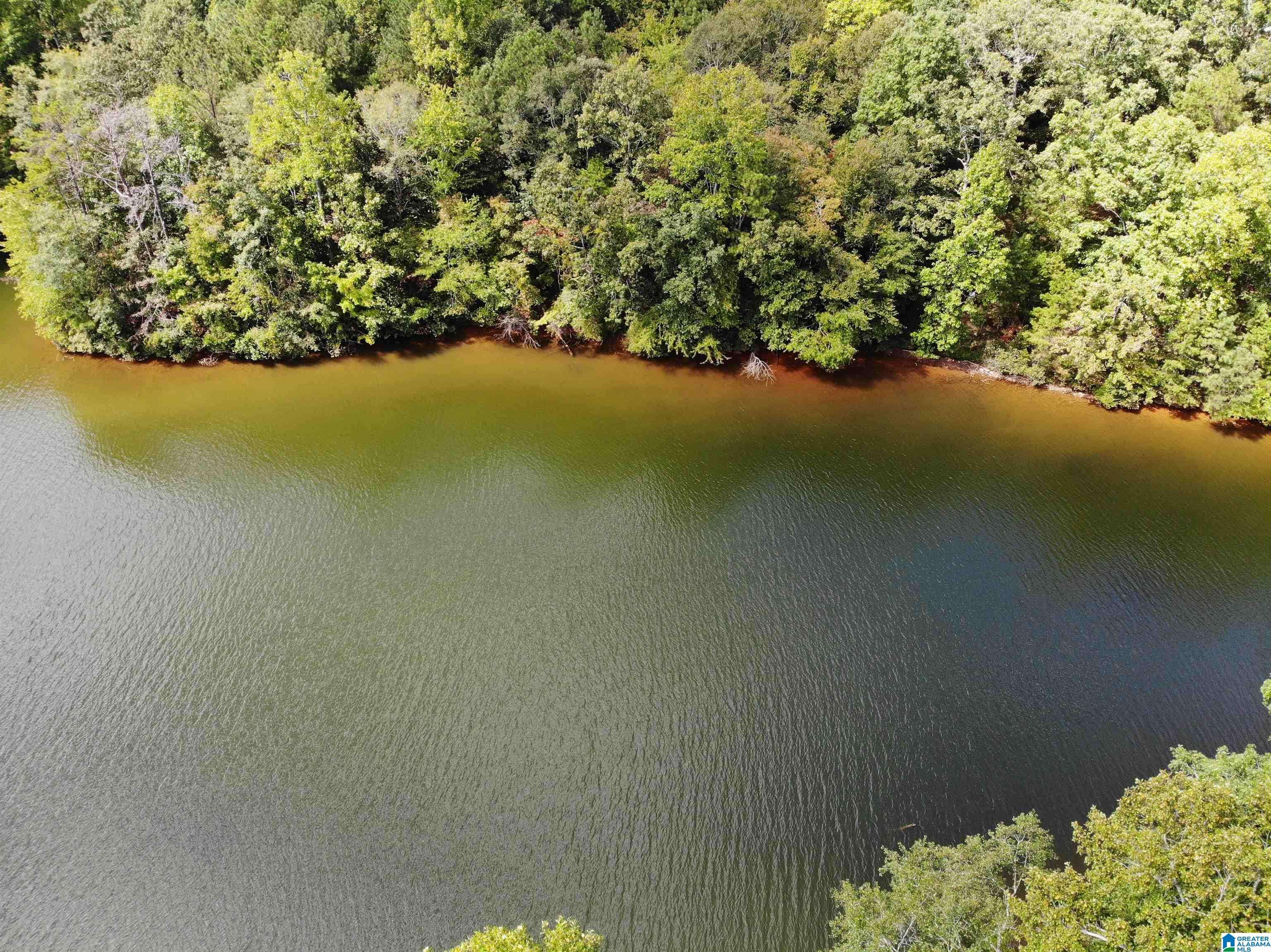 Wedowee, AL 36278,888 WARREN ROAD #0