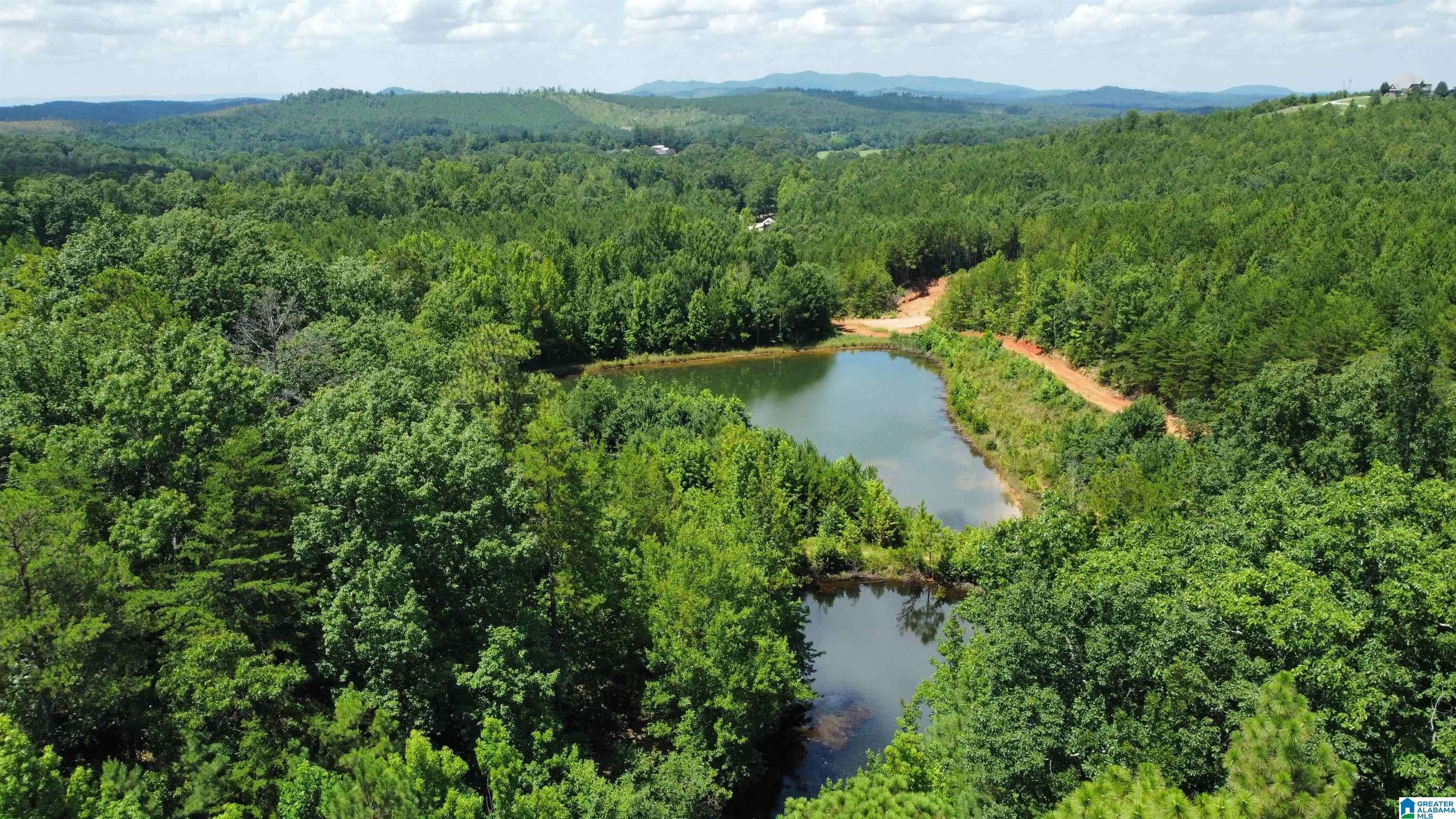 Piedmont, AL 36272,11.54 Acres TUCK-A-WAY DRIVE #24