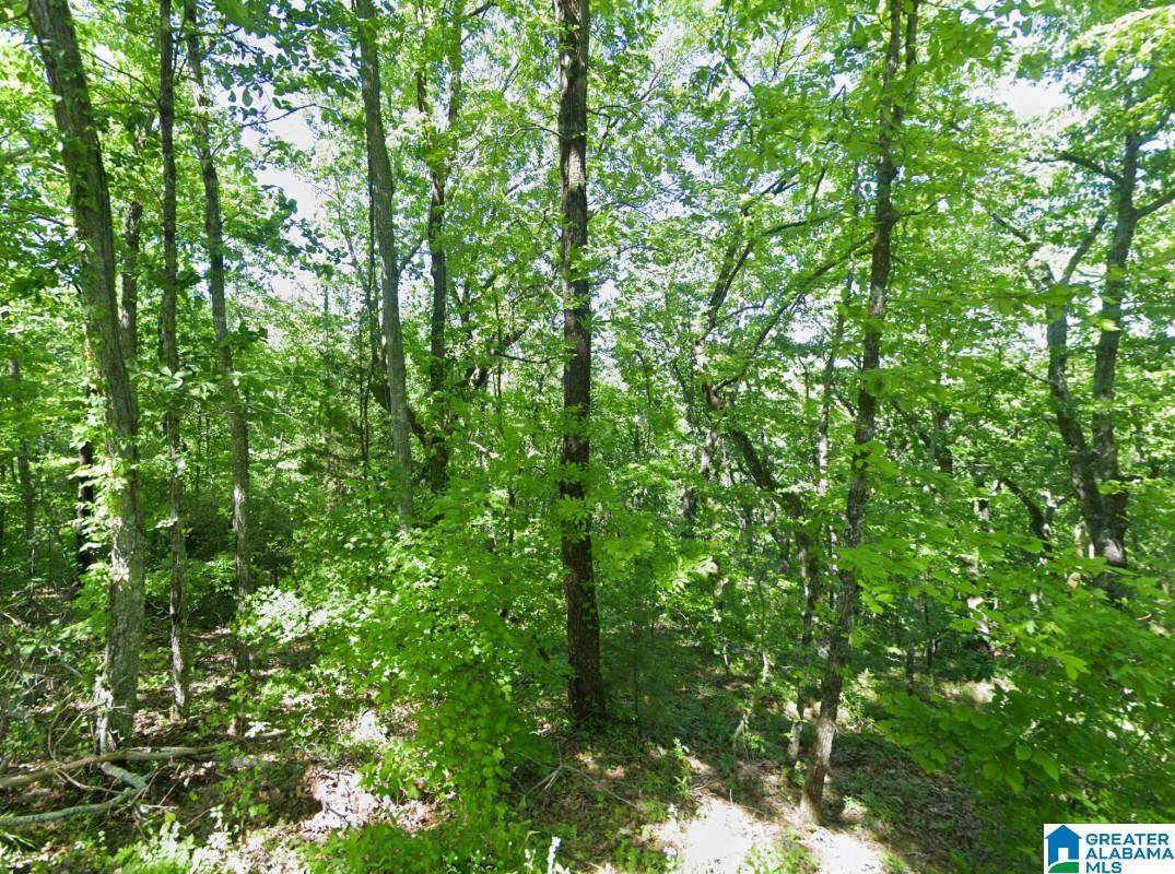 Alpine, AL 35014,0 GLOVERS FERRY ROAD #-