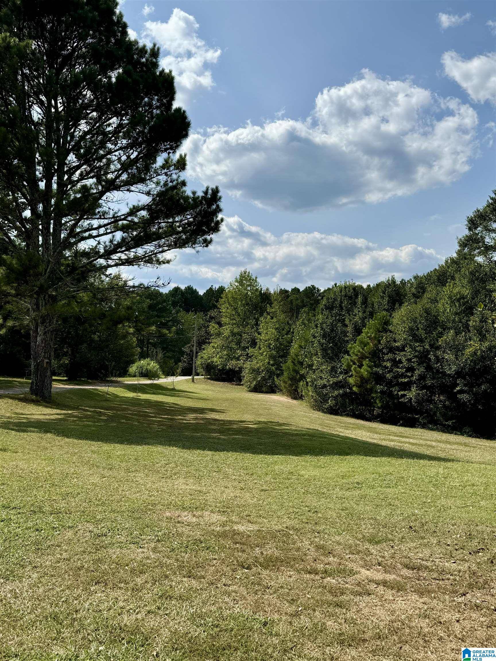 Hanceville, AL 35077,389 COUNTY ROAD 555