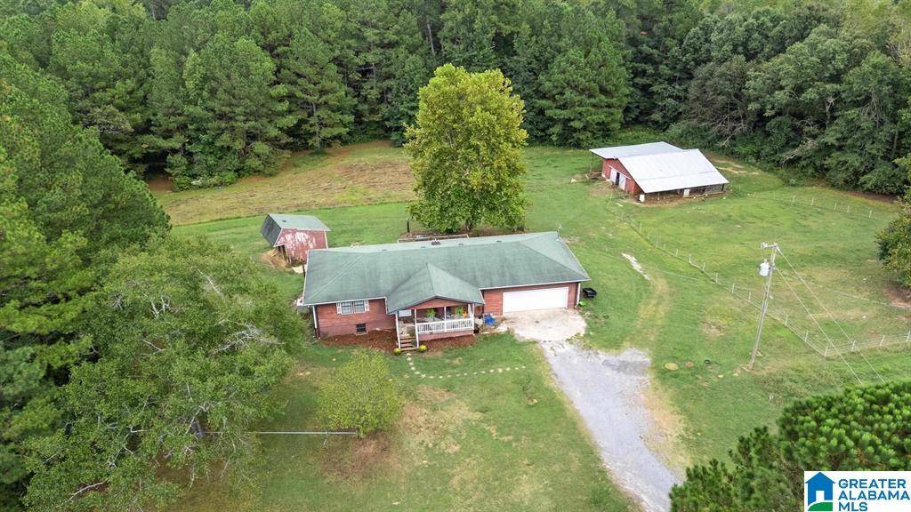 Hanceville, AL 35077,389 COUNTY ROAD 555