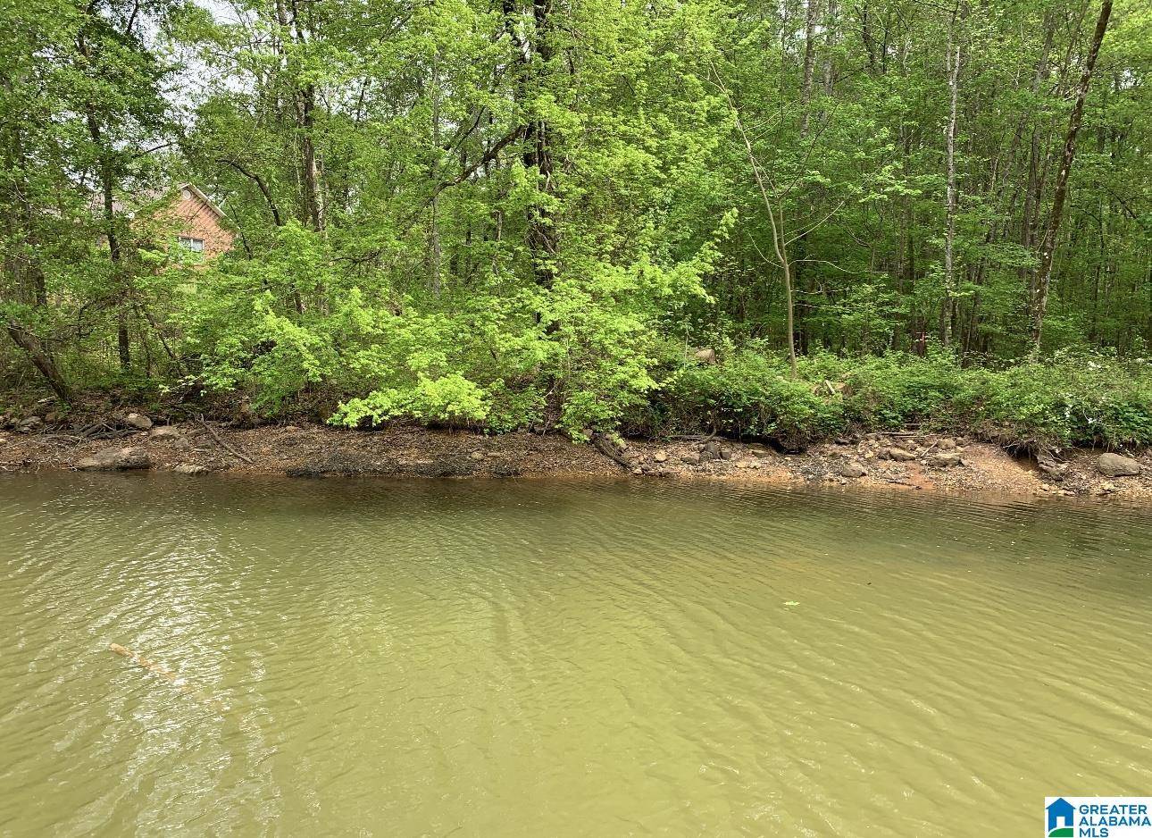 Pell City, AL 35128,447-1 EAGLE POINTE DRIVE #9