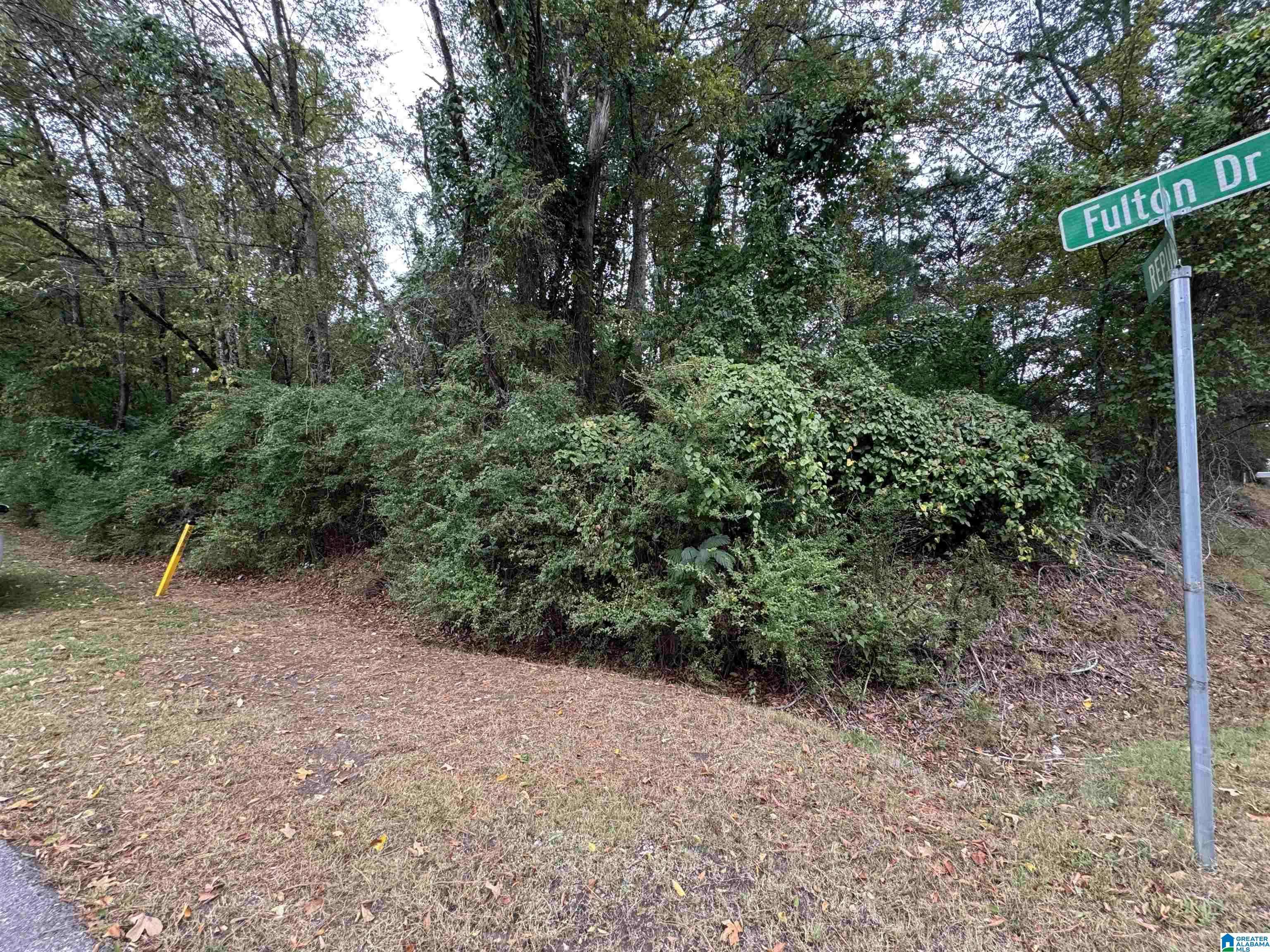 Fultondale, AL 35068,2203 FULTON DRIVE #1