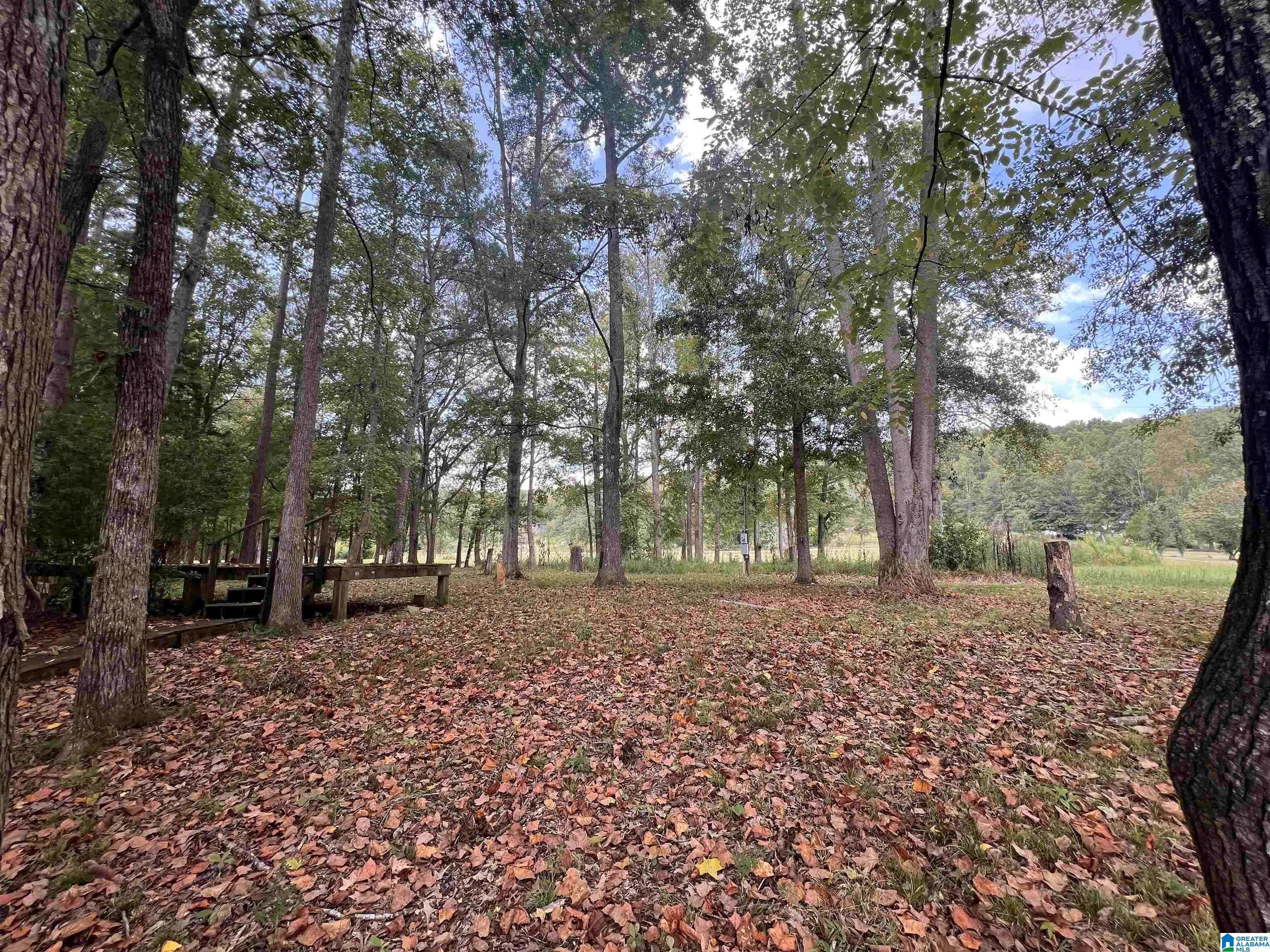 Ragland, AL 35131,MOCKINGBIRD DRIVE #43-46