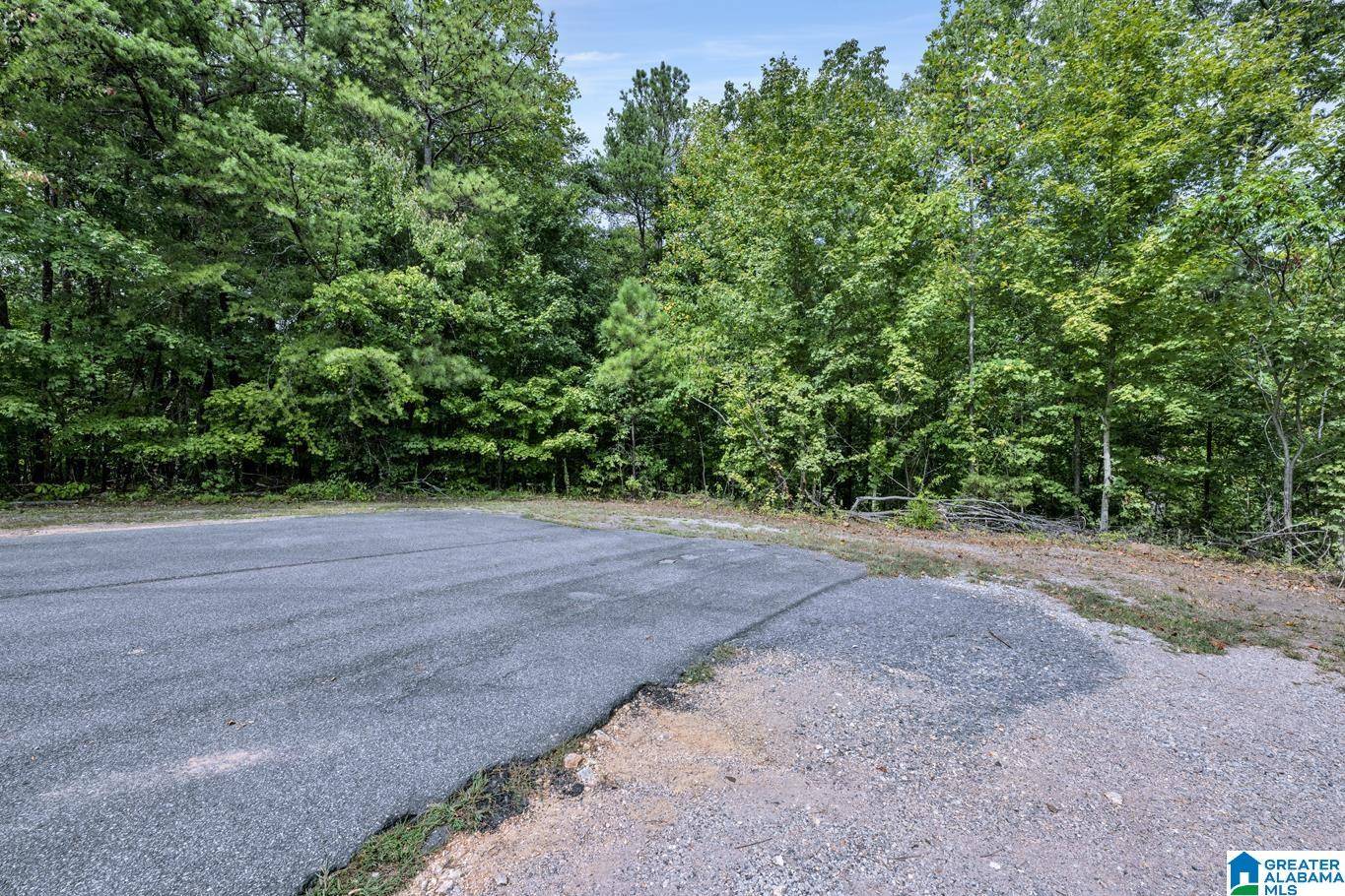 Pinson, AL 35126,6710 WESSON CIRCLE #3
