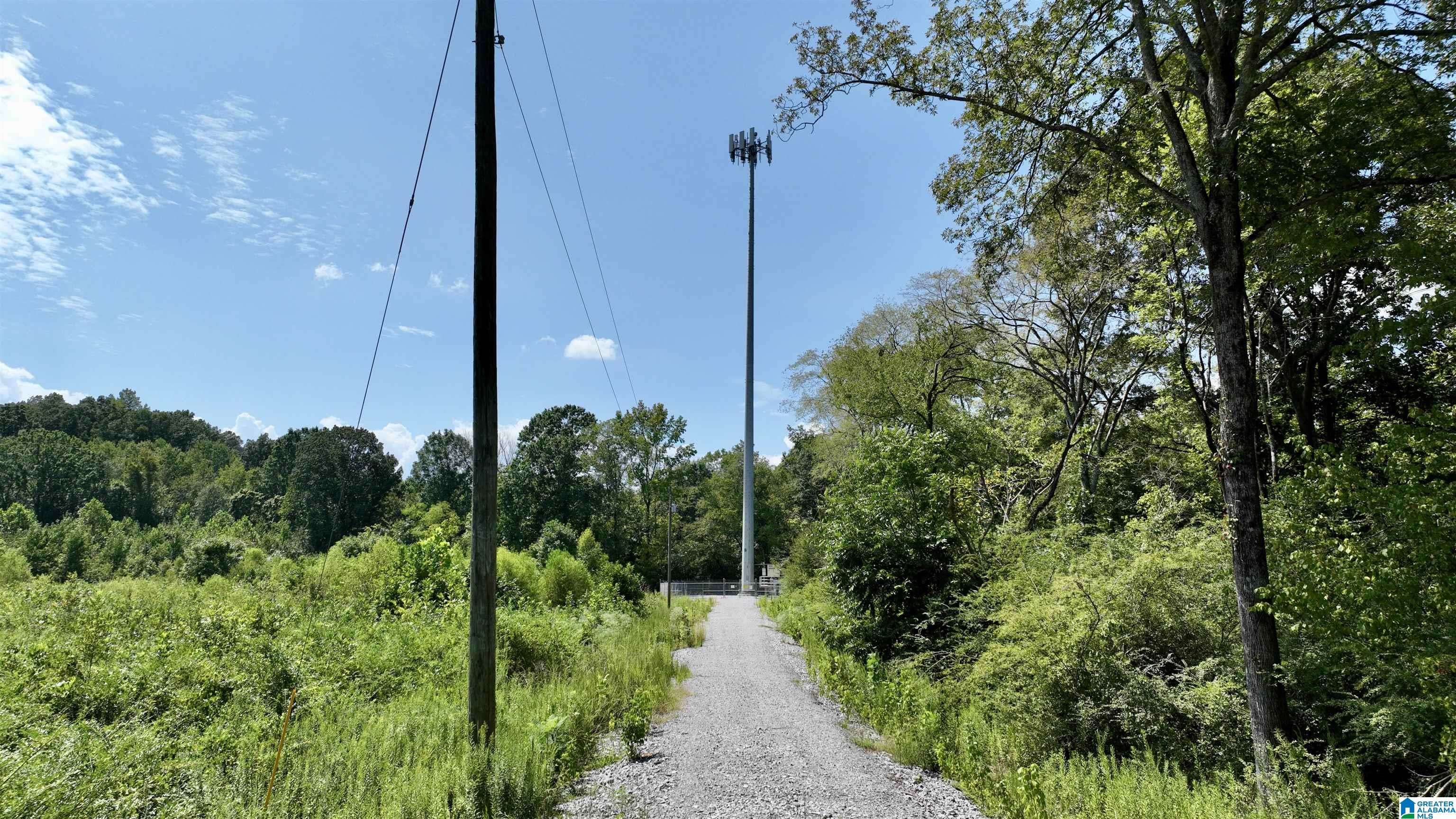 Columbiana, AL 35051,35.4 acres HIGHWAY 25 #0