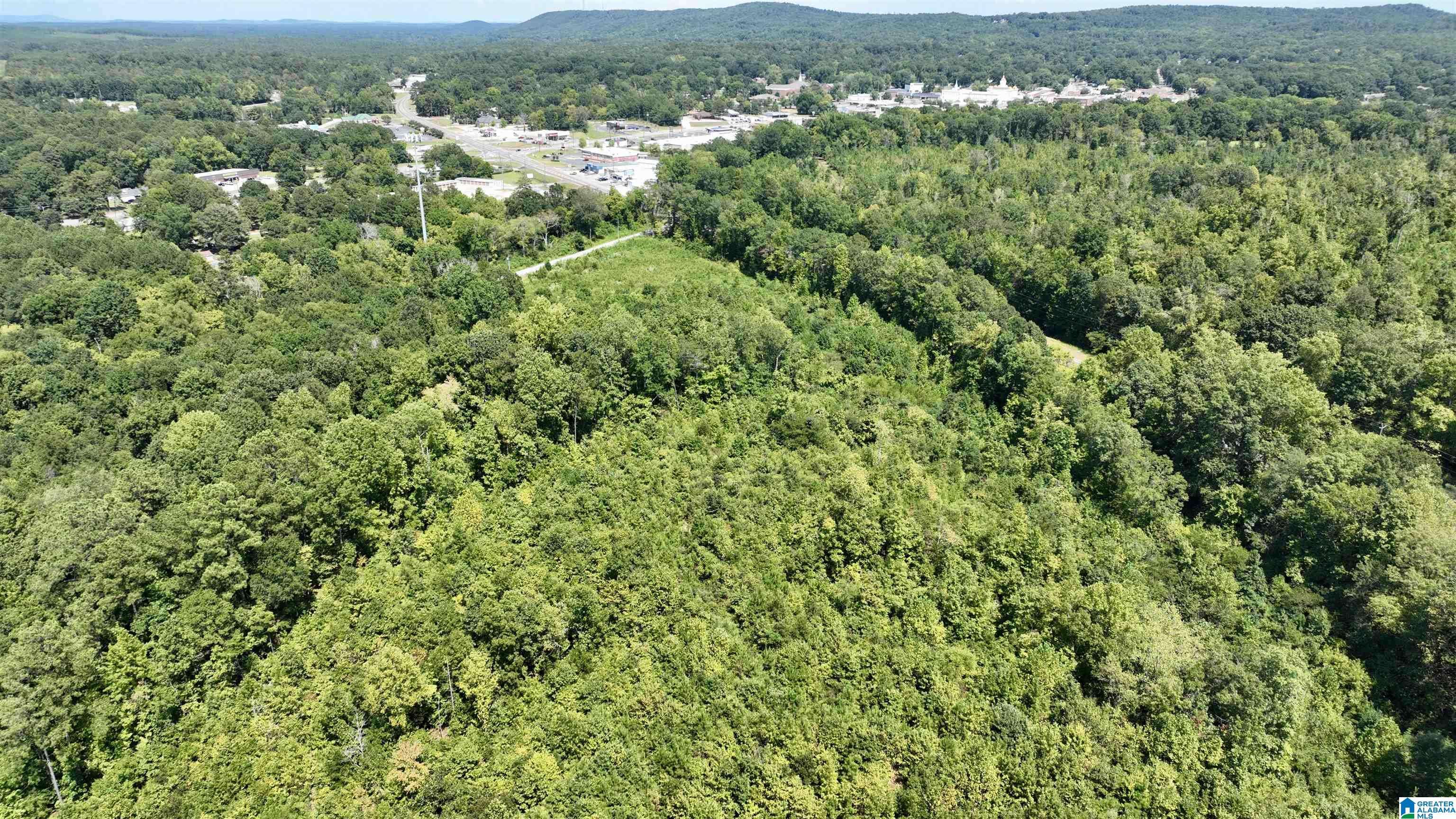 Columbiana, AL 35051,35.4 acres HIGHWAY 25 #0