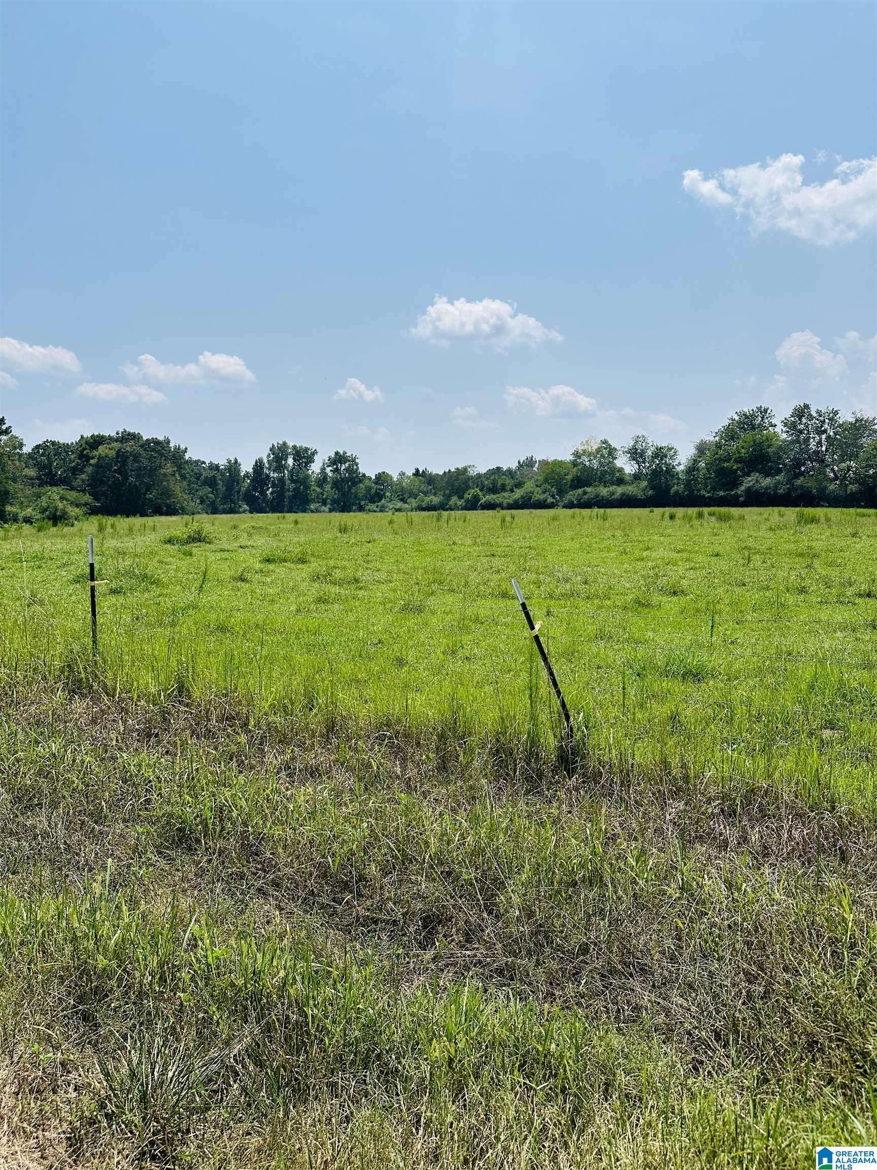 Warrior, AL 35180,9500 CATO ROAD #1