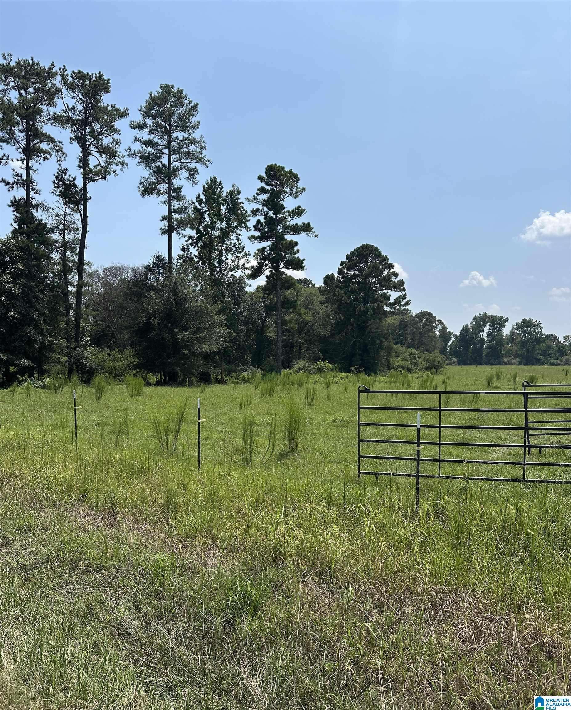 Warrior, AL 35180,9500 CATO ROAD #1
