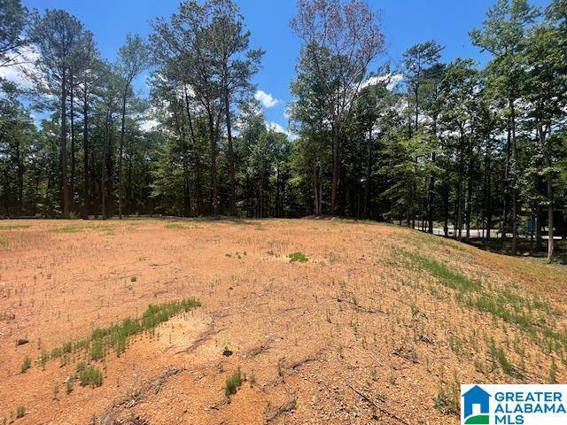 Chelsea, AL 35043,25 HODGENS ROAD #2