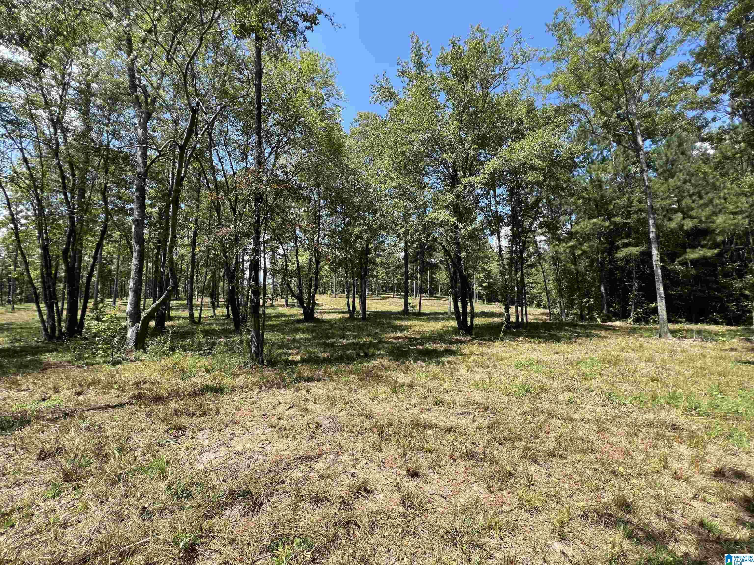 Westover, AL 35186,0 HIGHWAY 51 #0