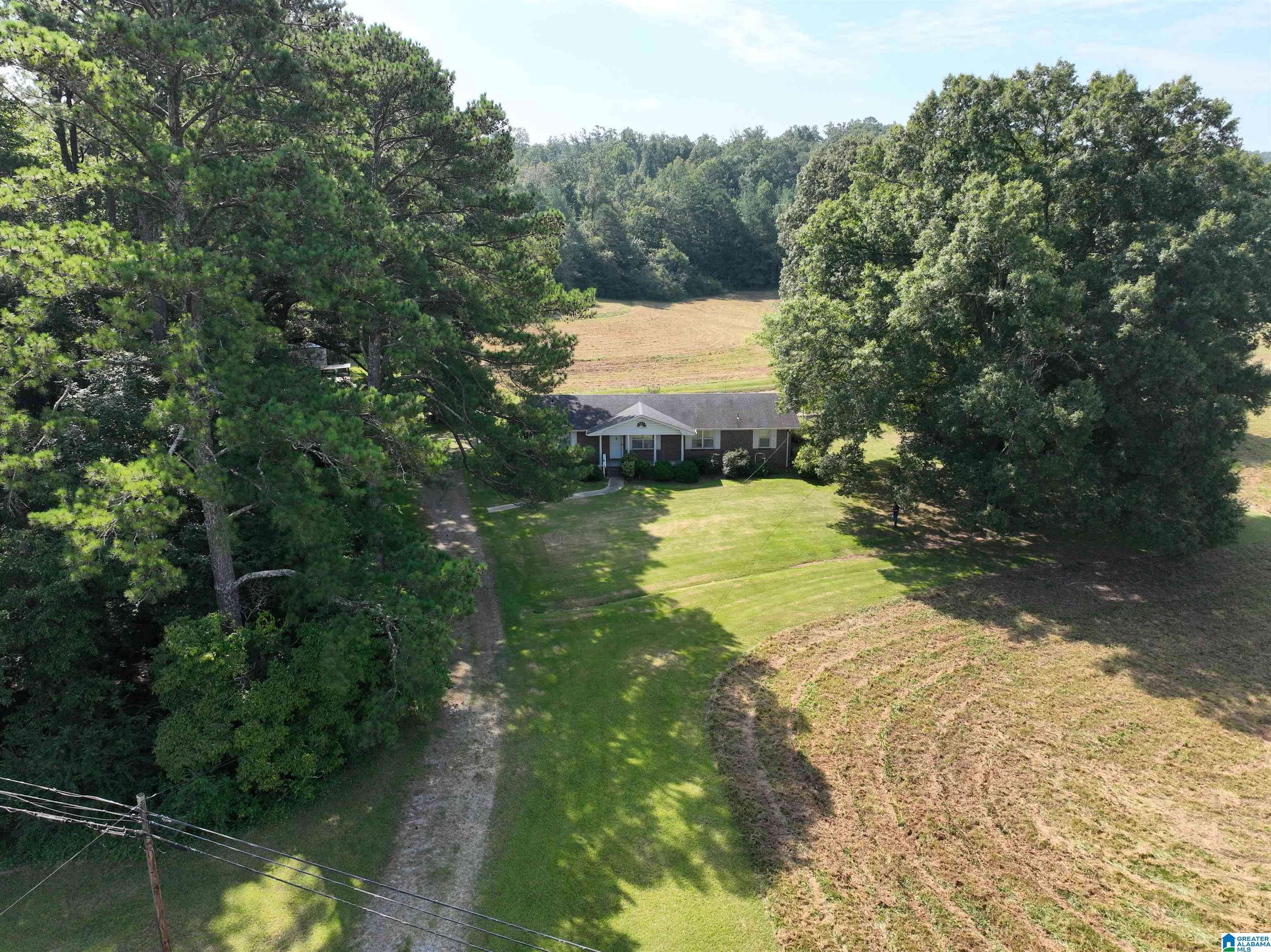 Oneonta, AL 35121,3678 HIGHWAY 132