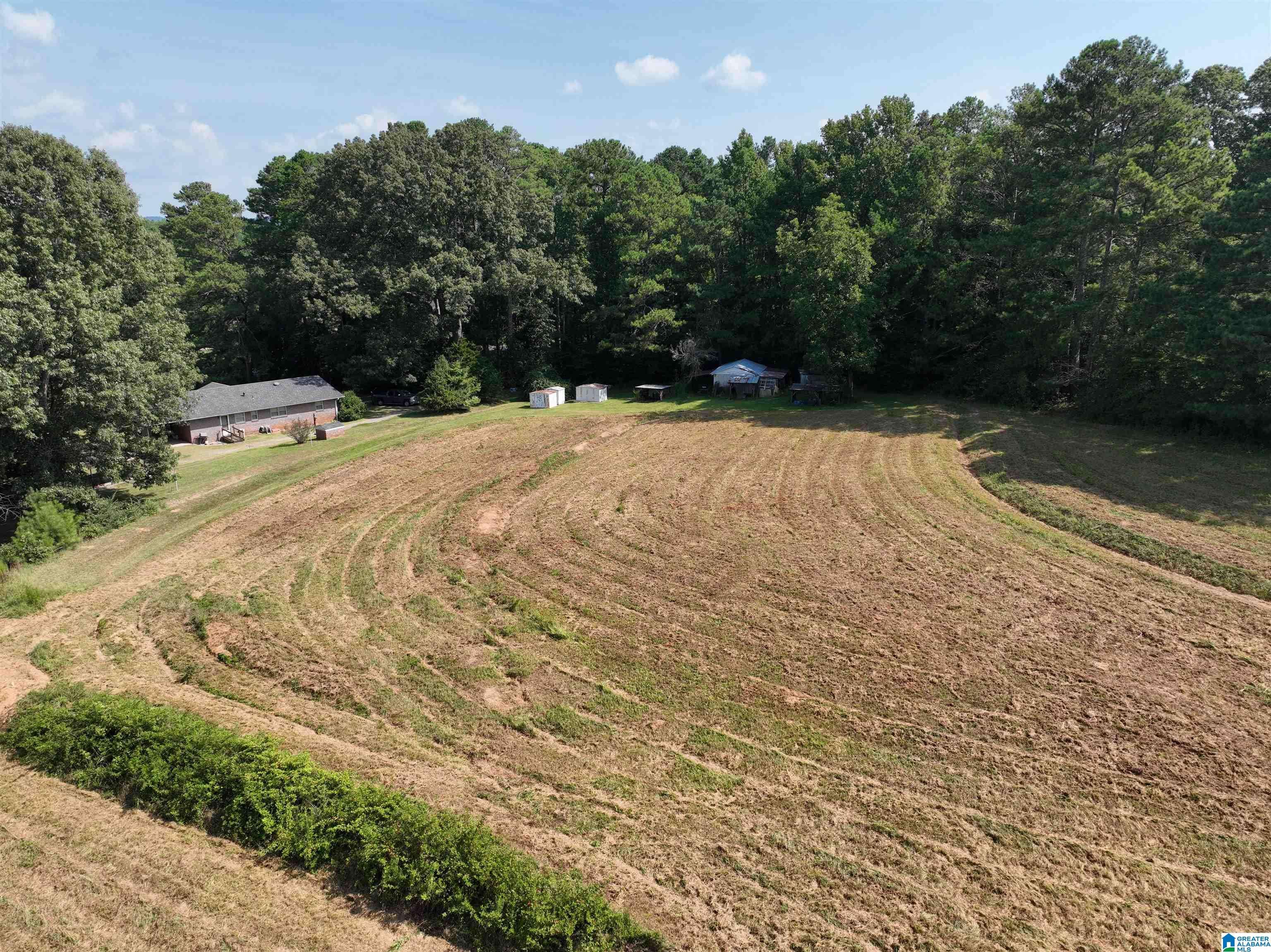 Oneonta, AL 35121,3678 HIGHWAY 132