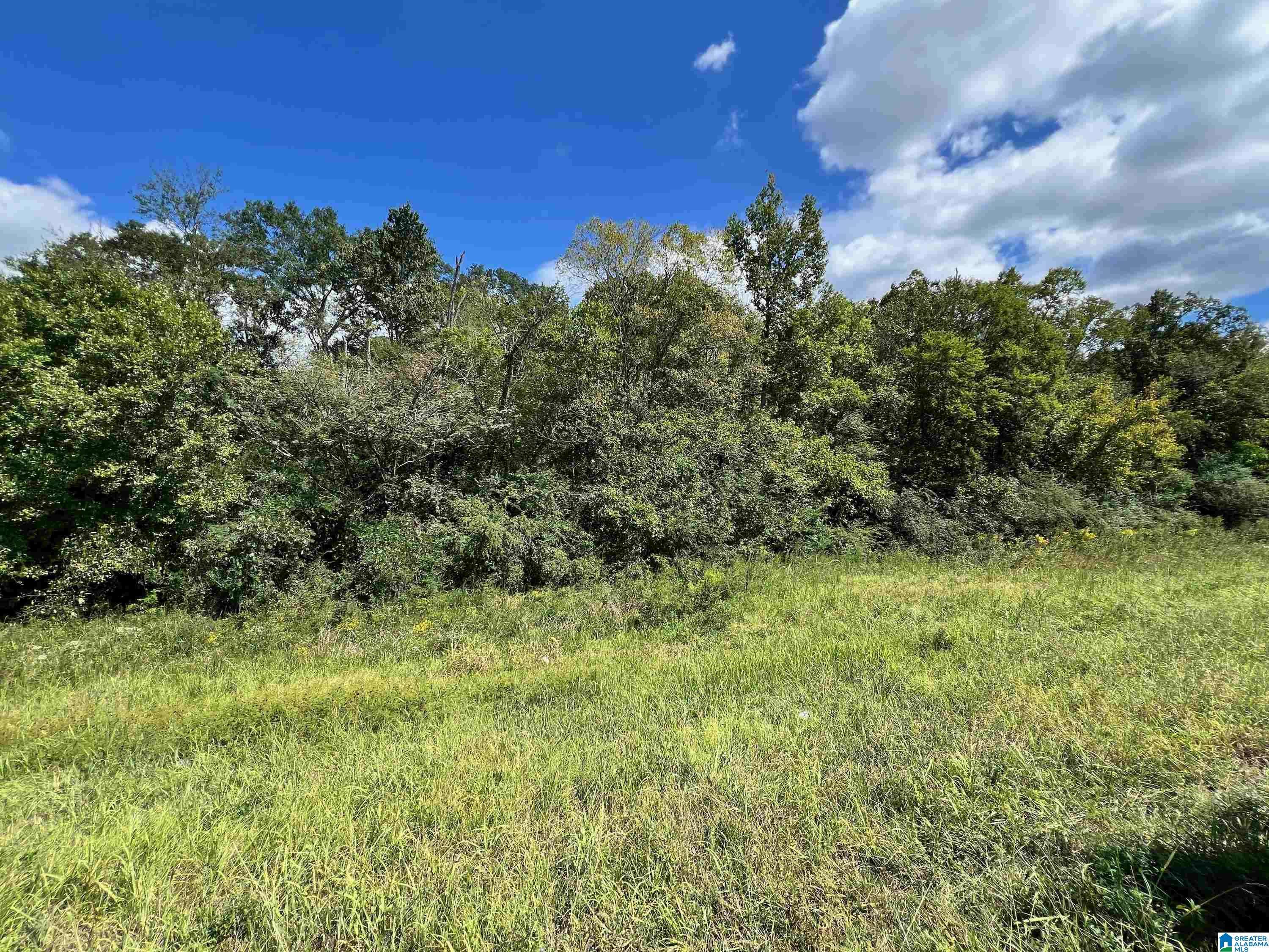 Alexandria, AL 36250,0 HIGHWAY 431 #1
