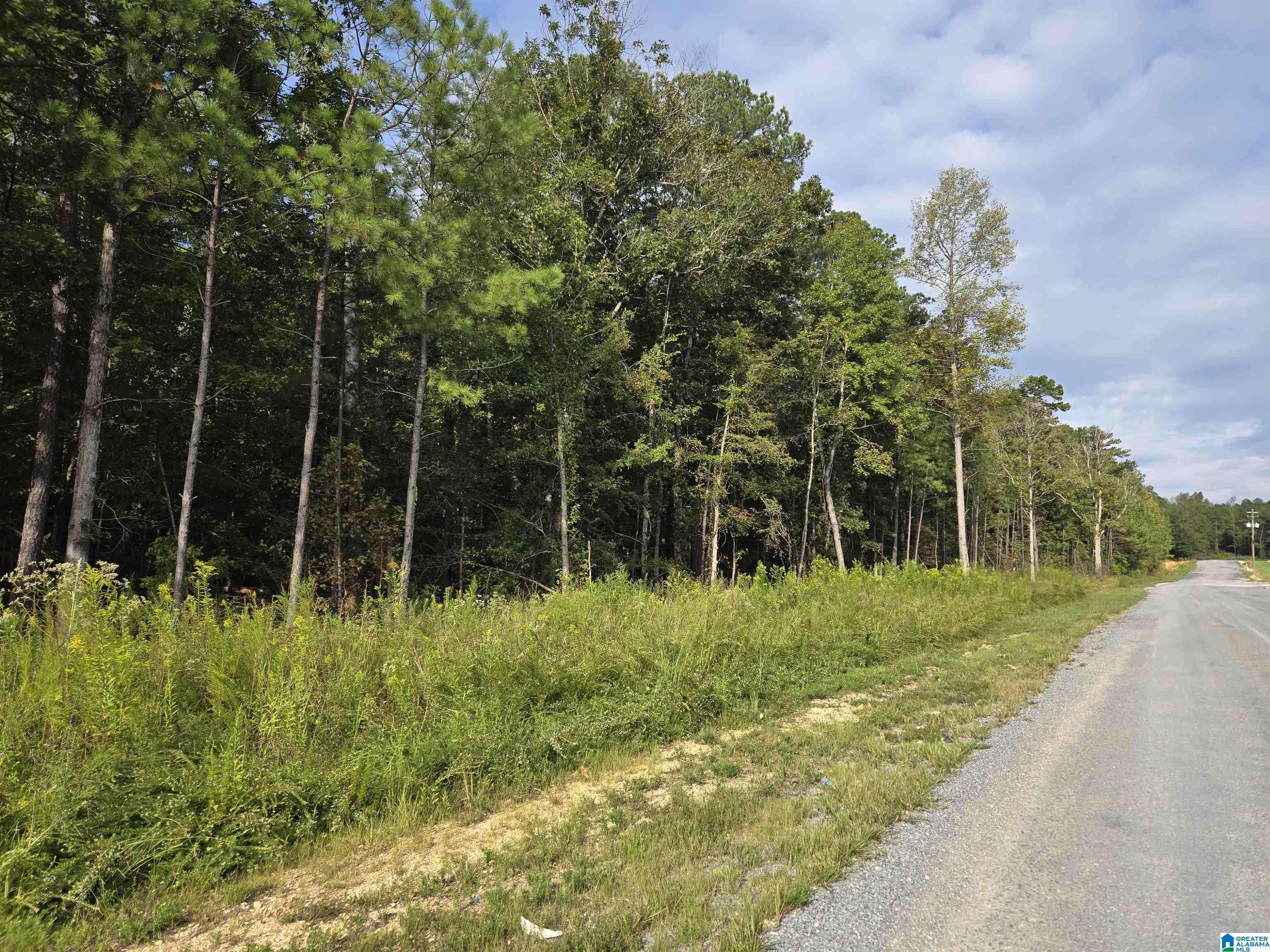 Oneonta, AL 35121,INDUSTRIAL PARK ROAD