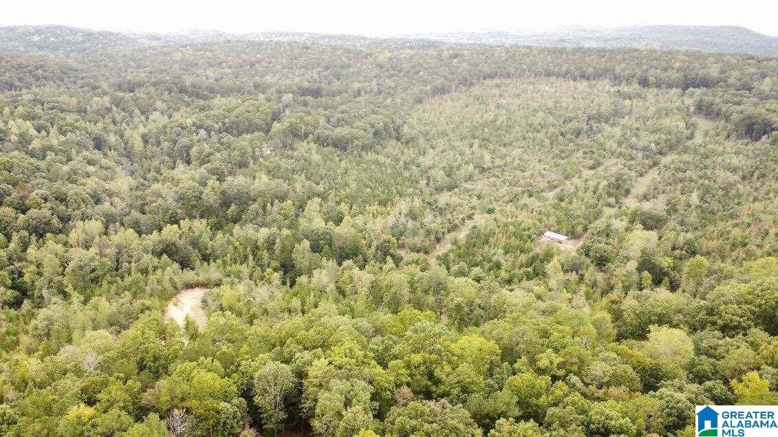 Odenville, AL 35120,980 CEDAR CREEK ROAD #2