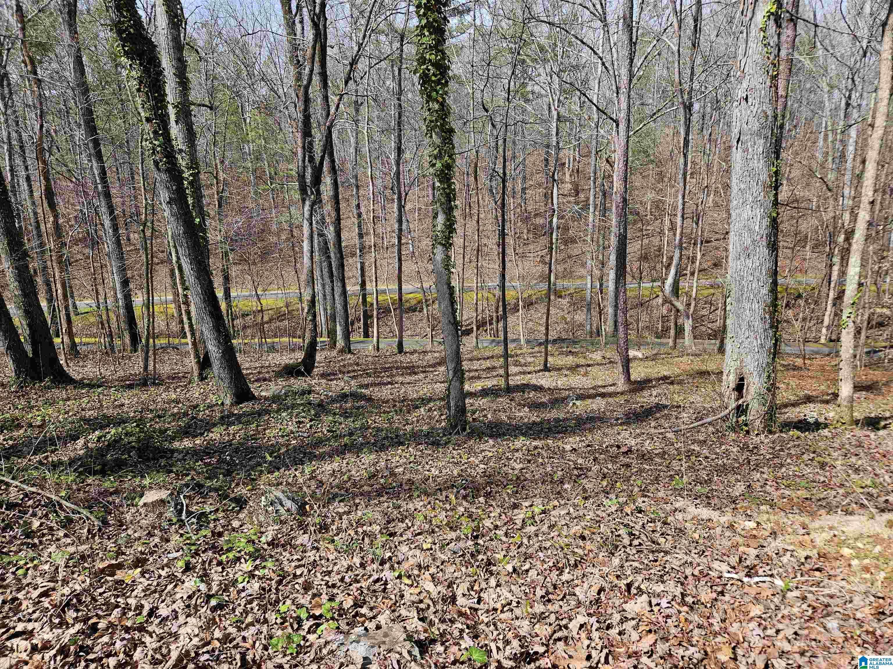 Hayden, AL 35079,155 S HOLLOW ROAD #0