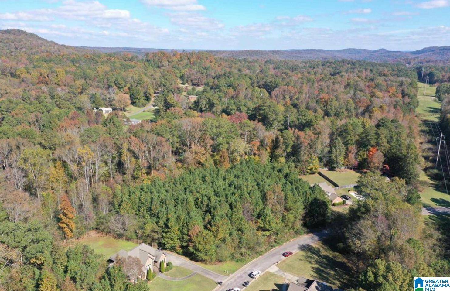 Pinson, AL 35126,7012 BROOKE LANE #11