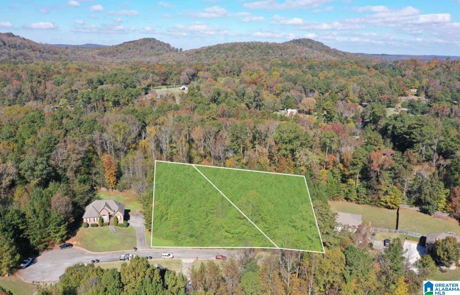 Pinson, AL 35126,7012 BROOKE LANE #11
