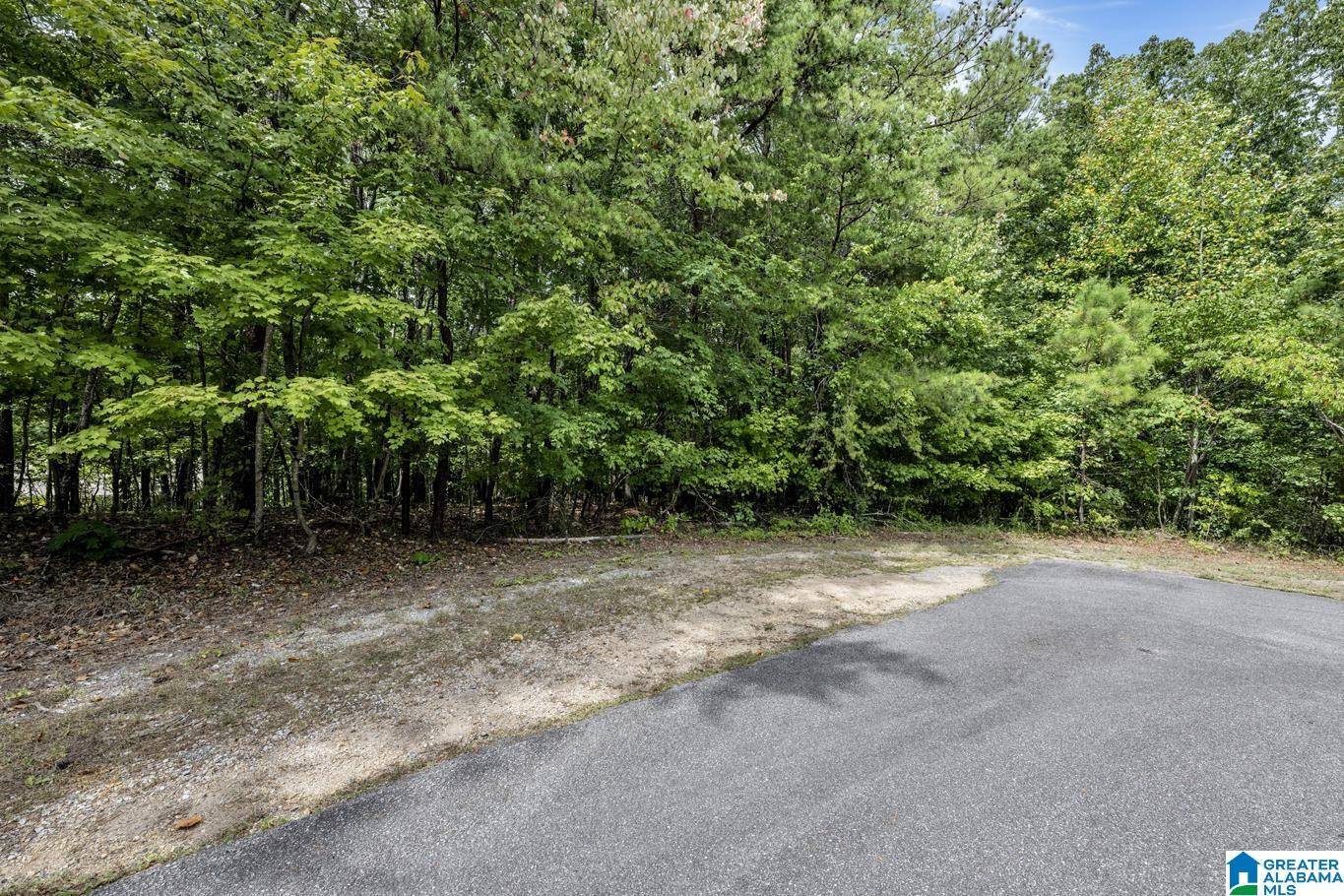 Pinson, AL 35126,6741 WESSON CIRCLE #5