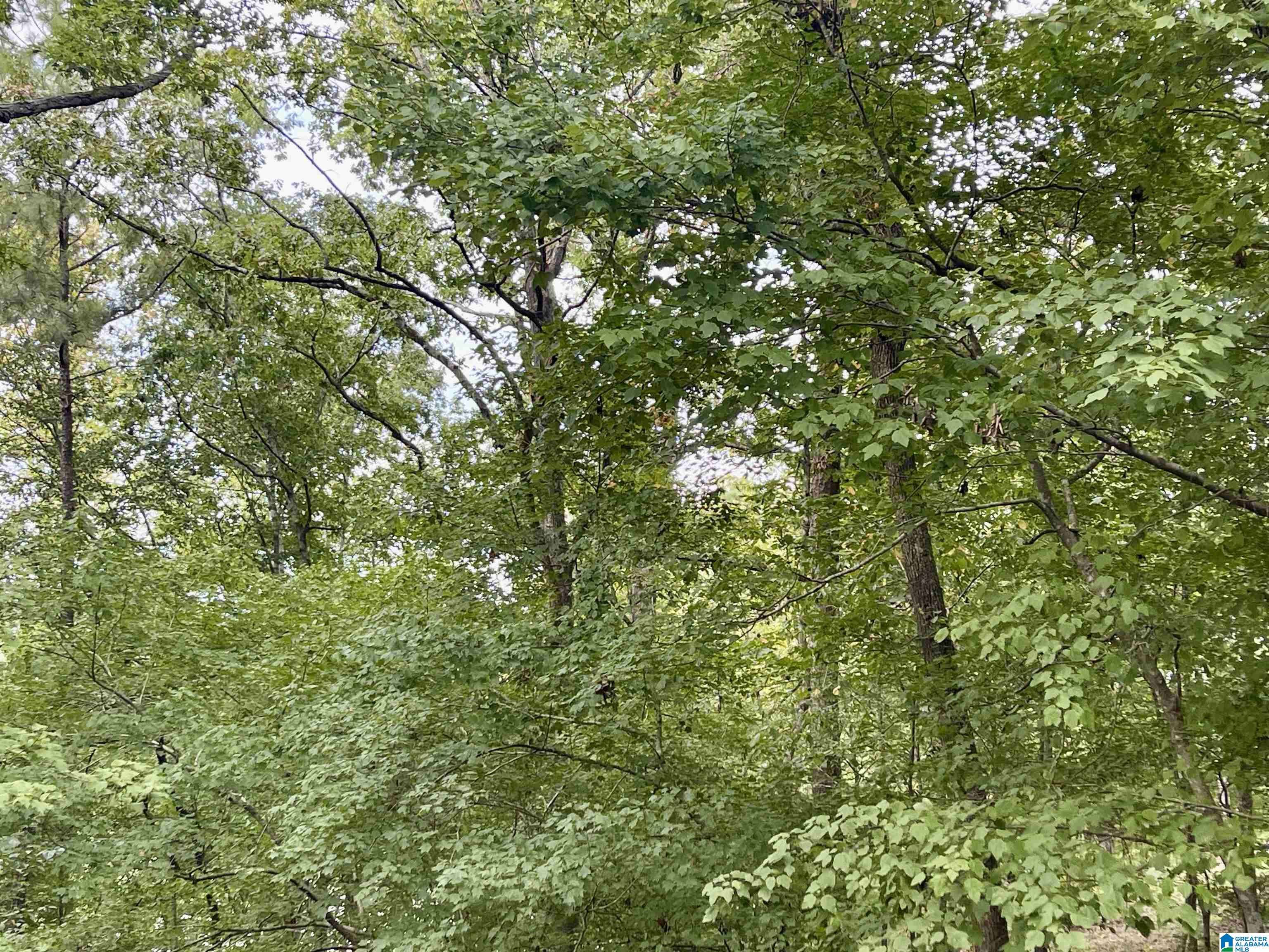Riverside, AL 35135,1649 BROKEN ARROW CREEK ROAD