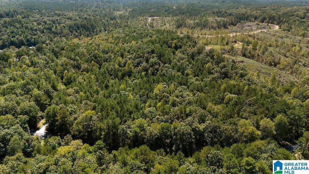 Clanton, AL 35046,0 COUNTY ROAD 759 #0