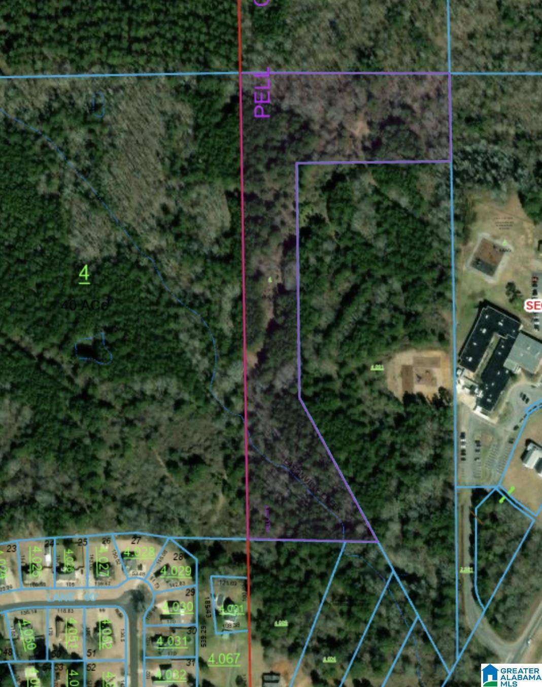 Cropwell, AL 35054,00 HOMESTEAD DRIVE #0