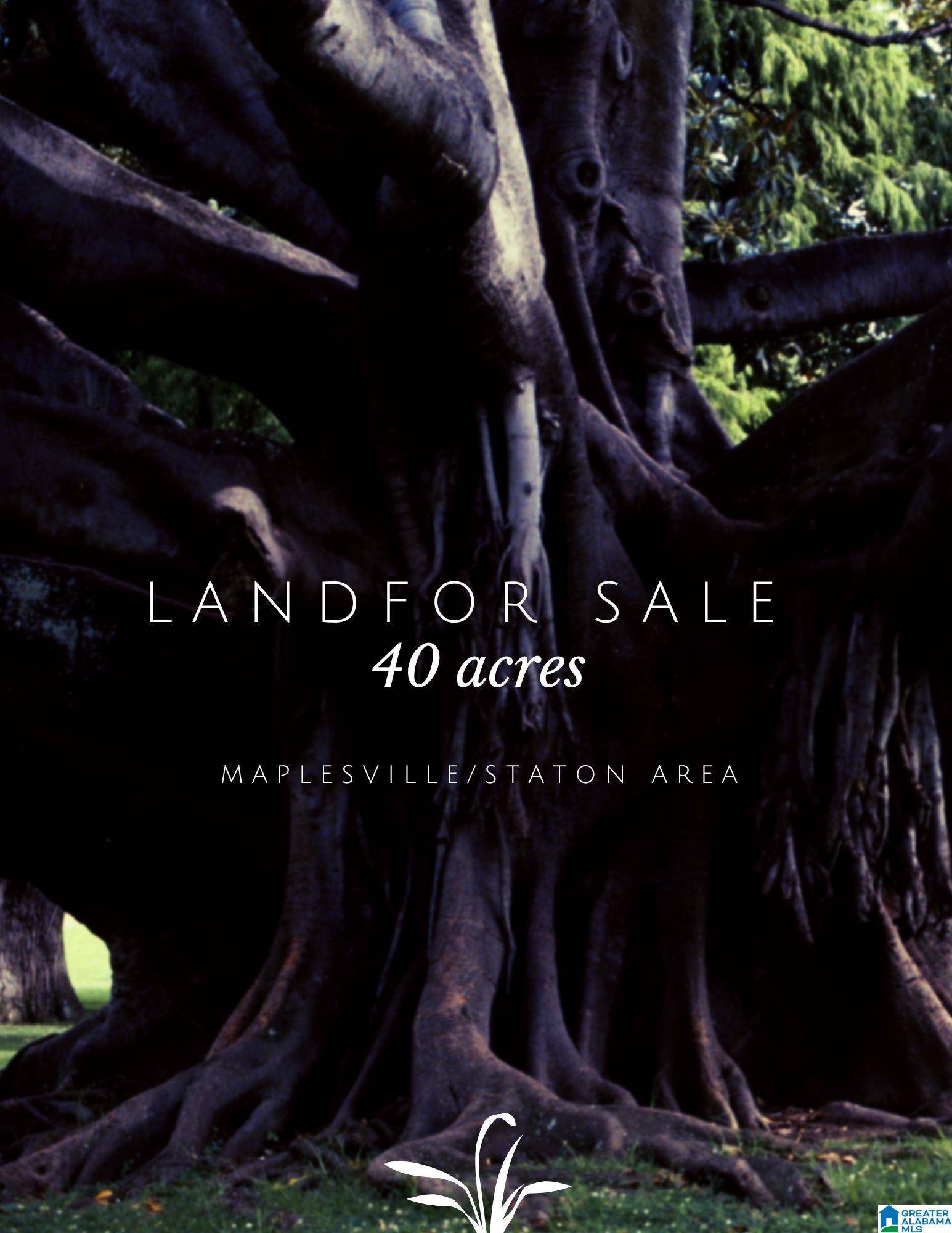 Maplesville, AL 36750,0 COUNTY ROAD 45 #40 acres