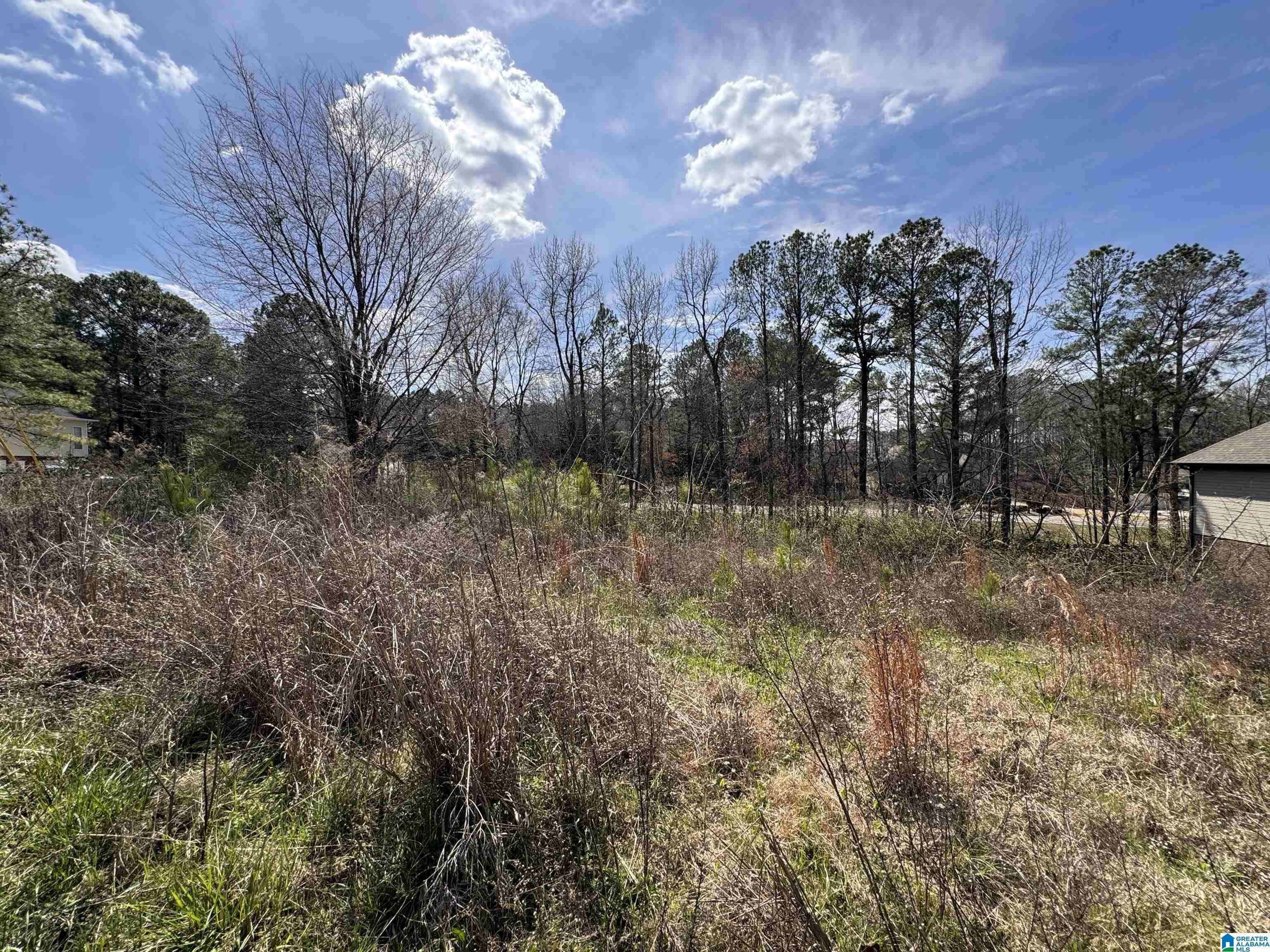 Calera, AL 35040,116 E WILLOW CIRCLE #31