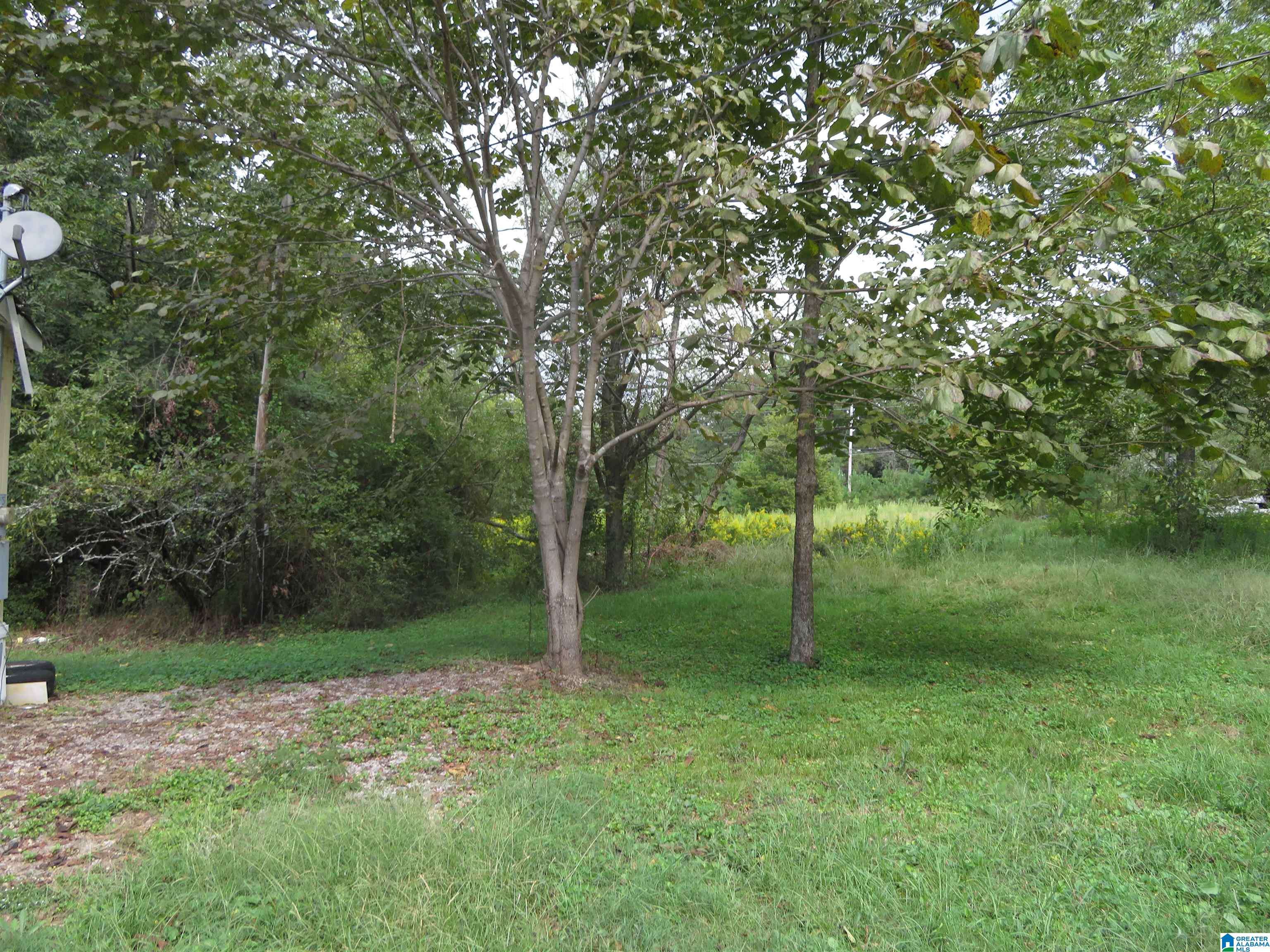 Woodstock, AL 35188,45 HORN CIRCLE