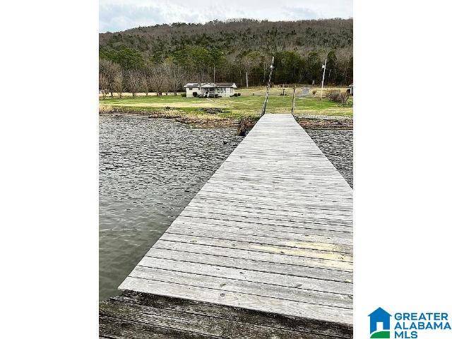 Scottsboro, AL 35769,3195 COUNTY ROAD 67